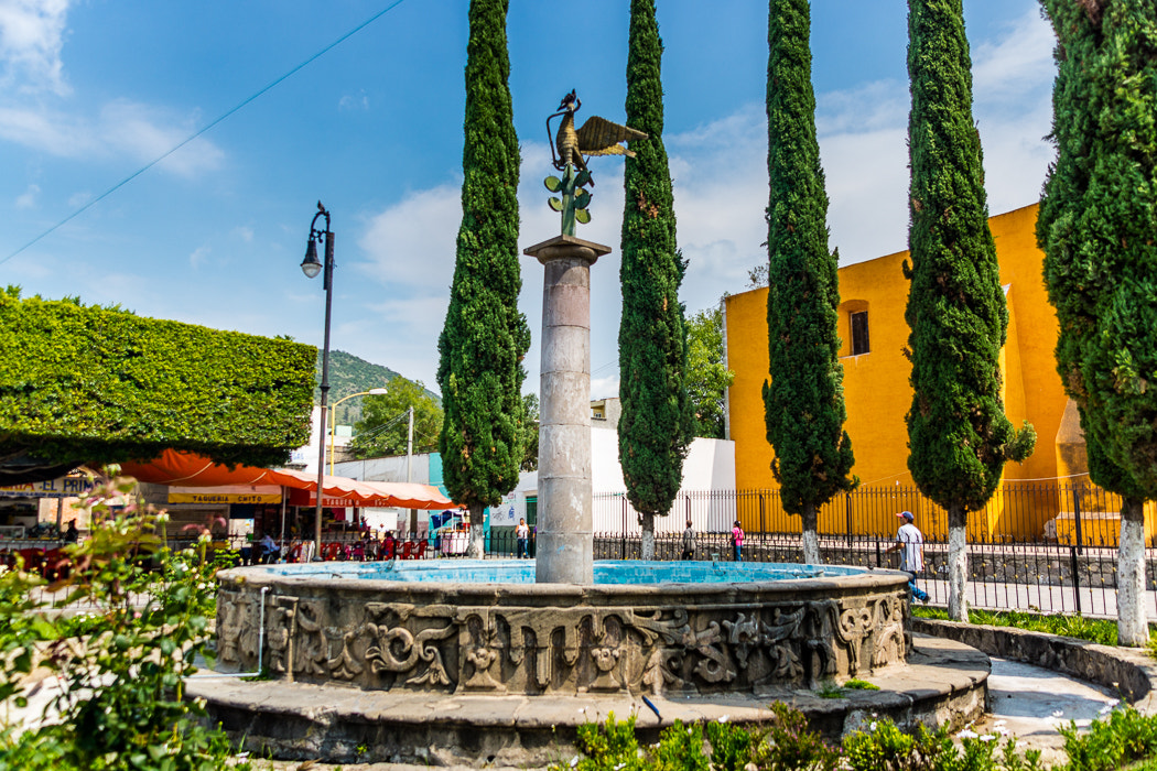 Sony SLT-A65 (SLT-A65V) sample photo. Fuente taurina. photography