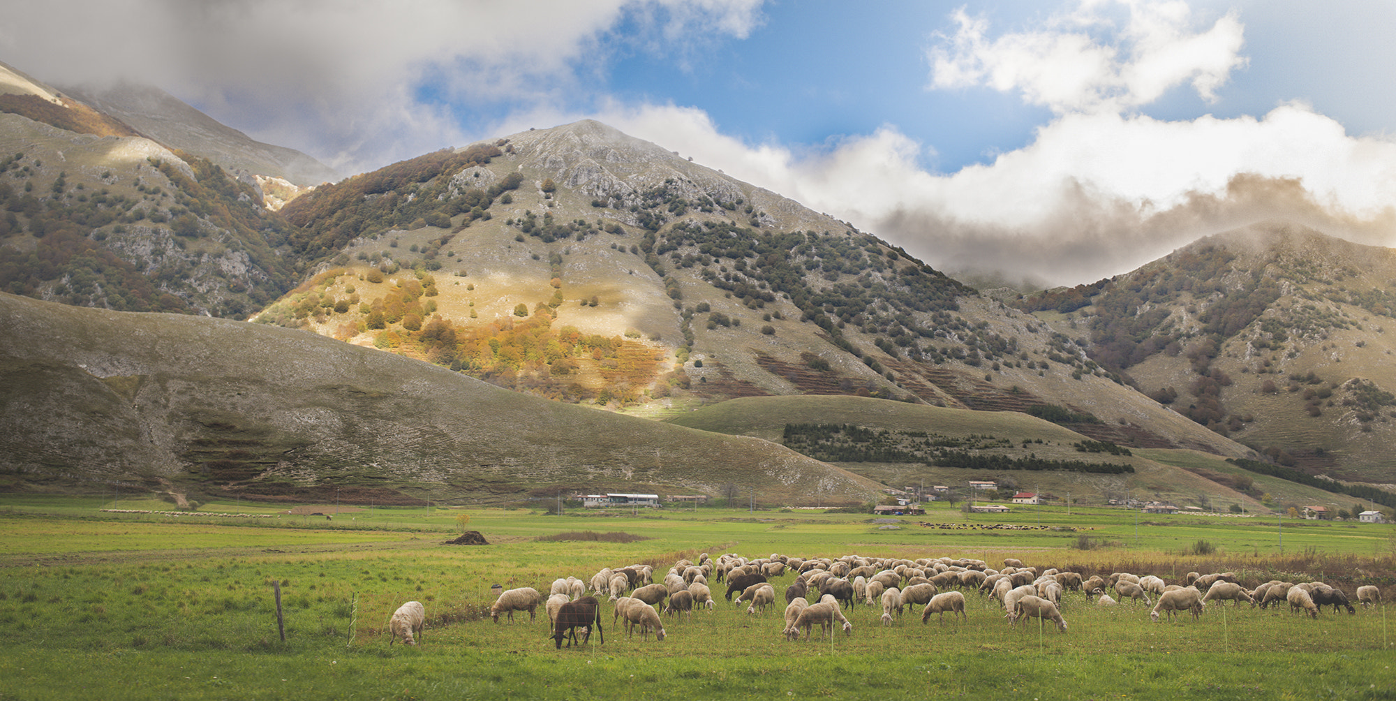 Nikon D750 + Nikon AF Nikkor 35mm F2D sample photo. Bucolic landscape photography