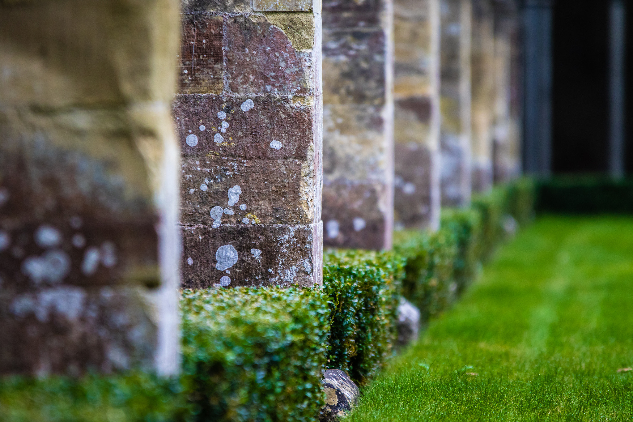 Sigma 70-200mm F2.8 EX DG OS HSM sample photo. Brick by brick photography