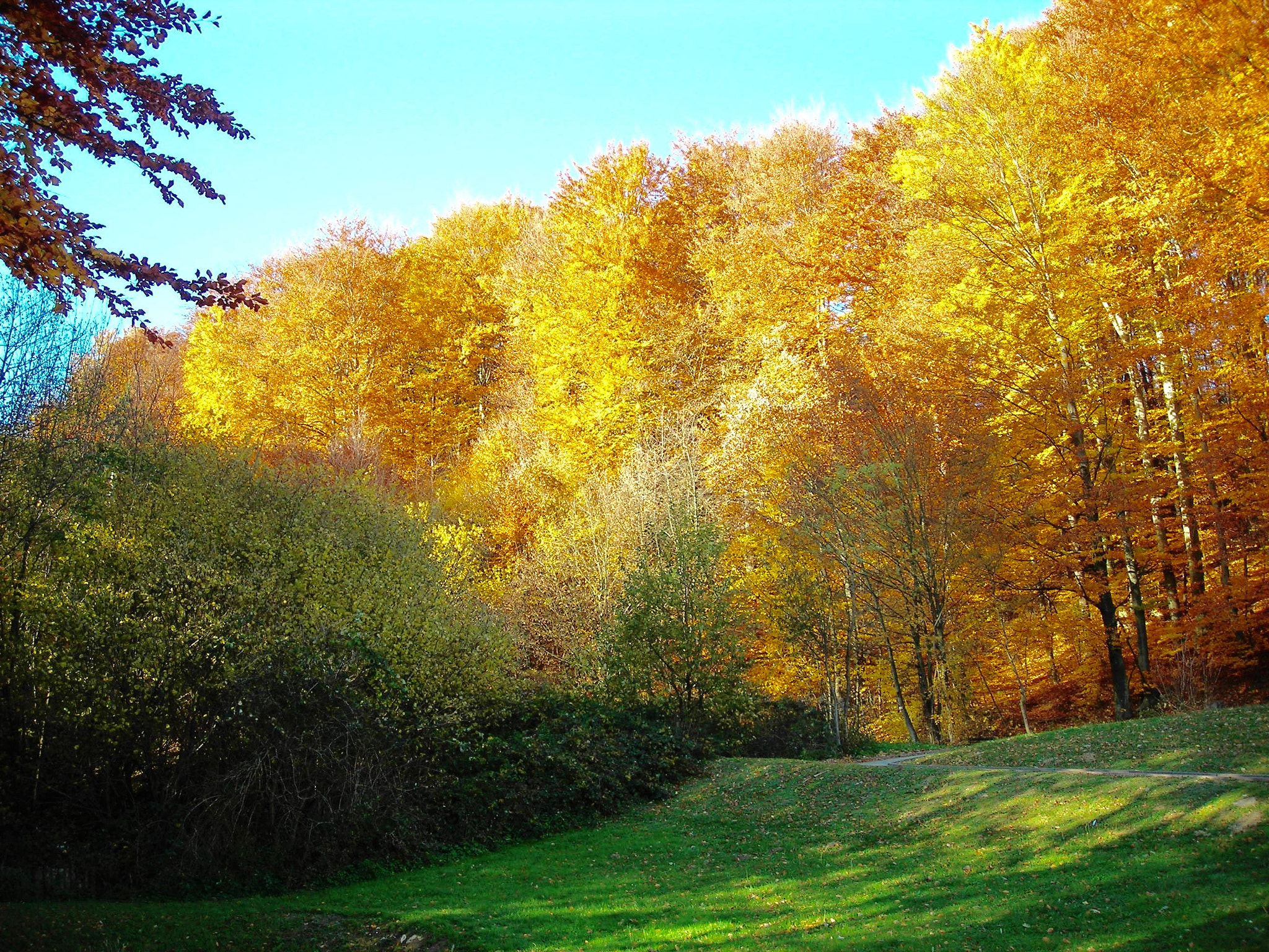 Nikon COOLPIX L3 sample photo. Autumn in olimja photography