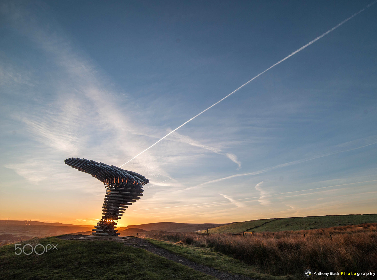 Samyang 14mm F2.8 ED AS IF UMC sample photo. Singing ringing tree at dawn photography