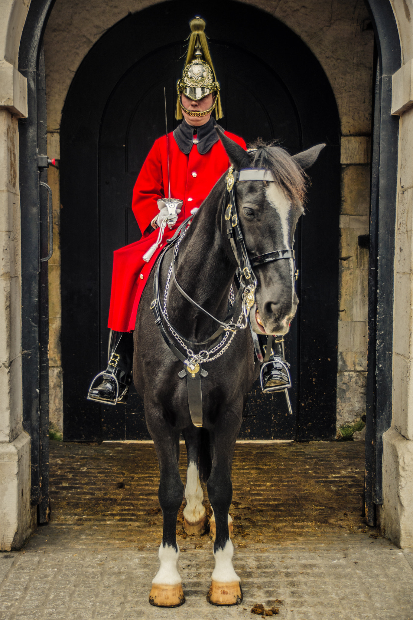 Sony SLT-A65 (SLT-A65V) sample photo. Red on horse photography