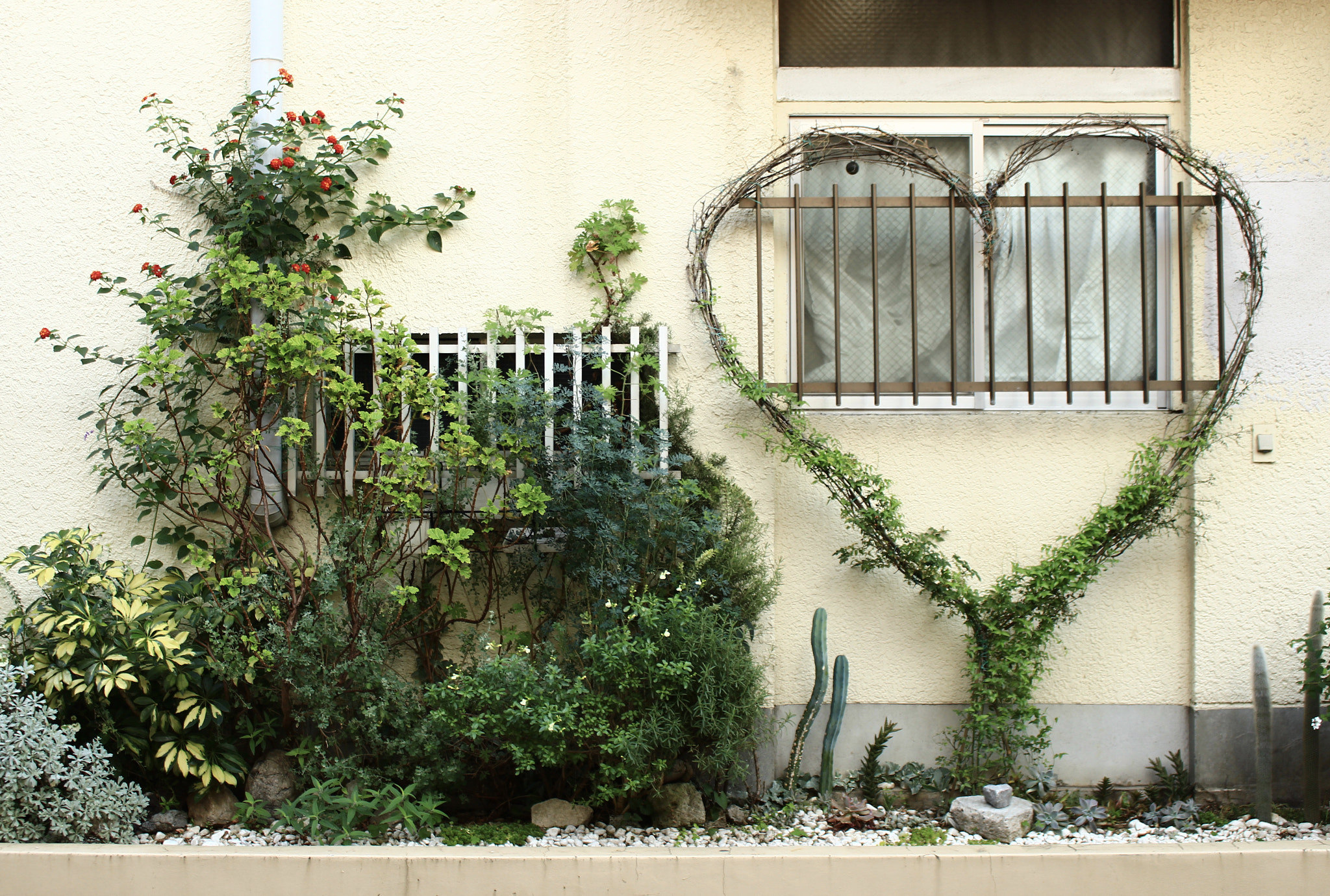 Canon EOS 700D (EOS Rebel T5i / EOS Kiss X7i) sample photo. A growing heart photography