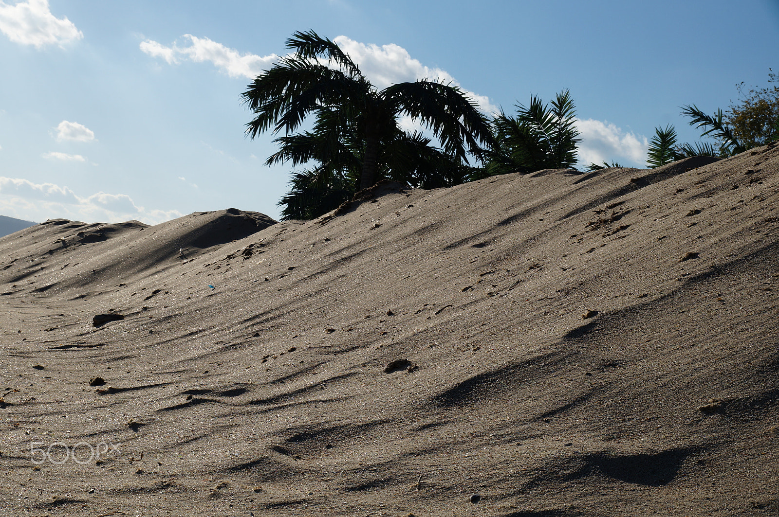 Sony DT 18-135mm F3.5-5.6 SAM sample photo. Dunes photography