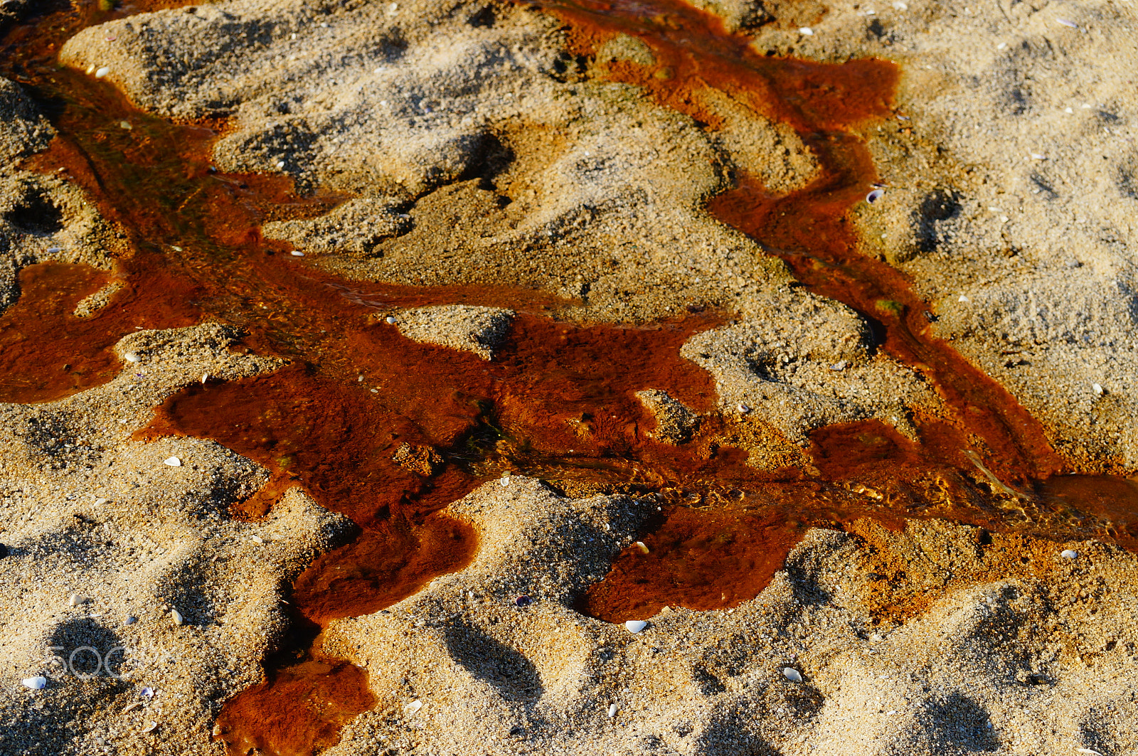 Sony SLT-A57 sample photo. Rust creek photography