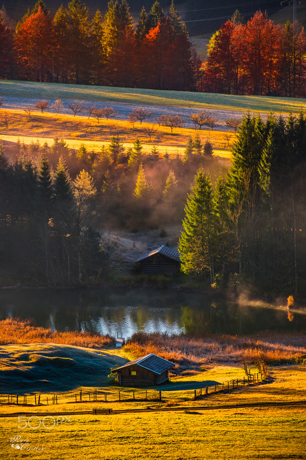 Sigma 28-300mm F3.5-6.3 DG Macro sample photo. Autumn morning photography