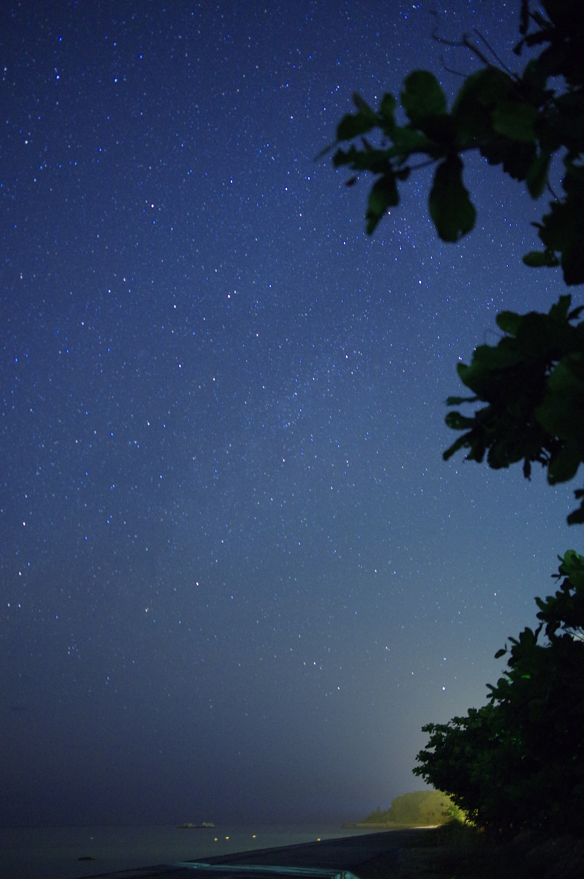 Pentax K-3 II sample photo