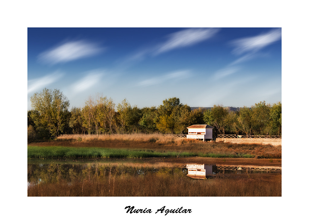 Canon EF-S 55-250mm F4-5.6 IS II sample photo. Reflejos ii photography