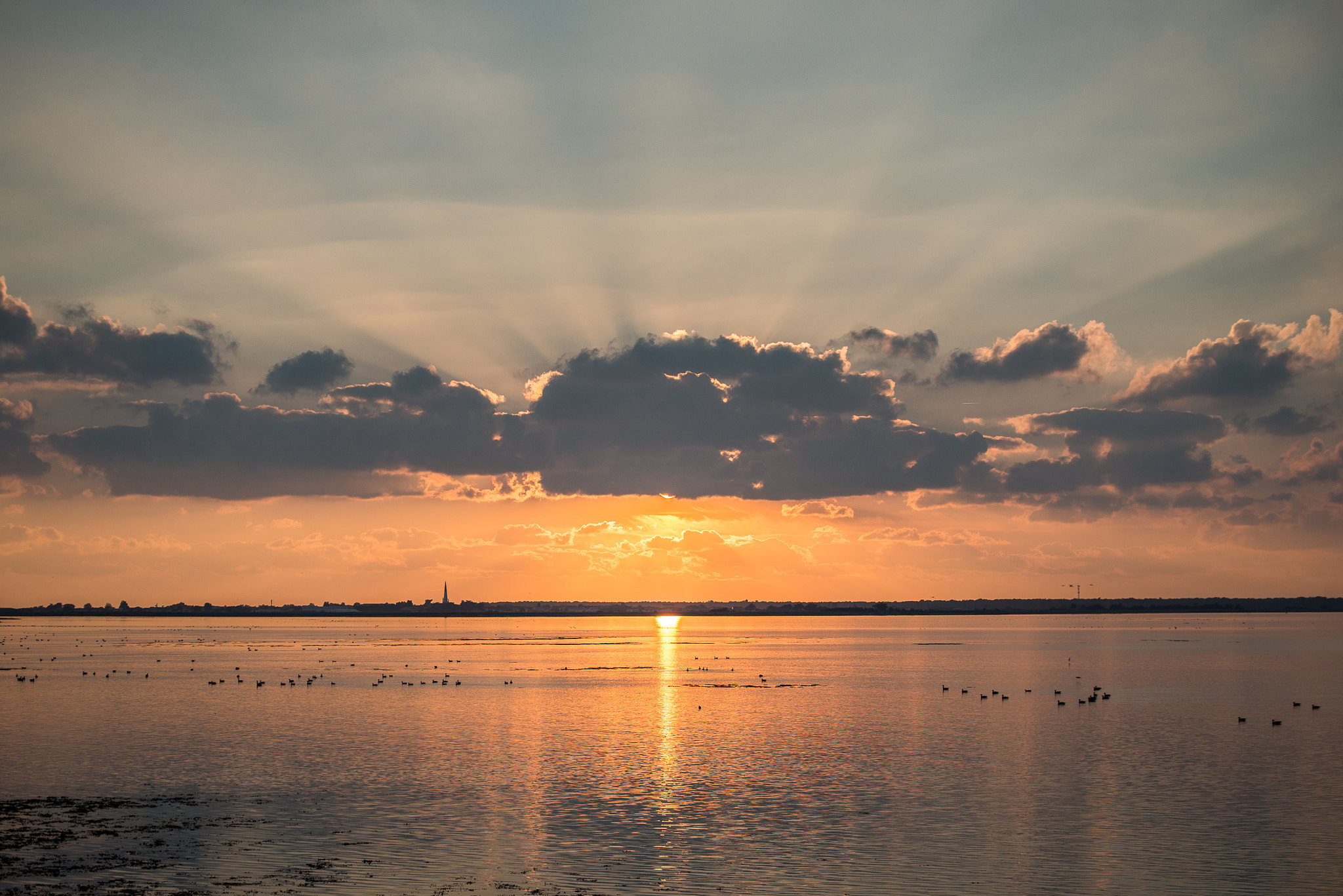 Nikon D800 sample photo. Sunset on ars-en ré photography