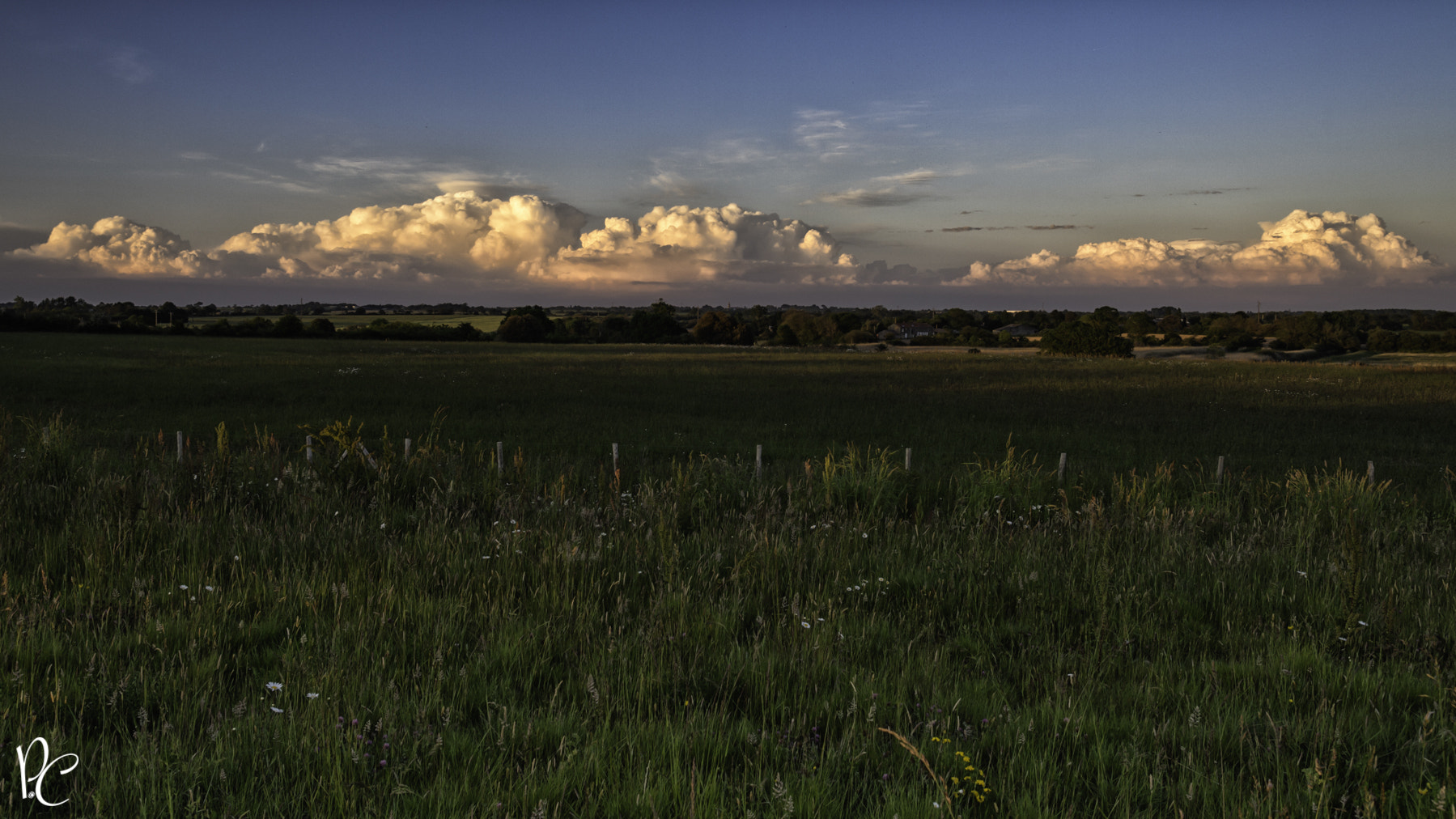 Nikon D4 sample photo. Nature , campagne photography