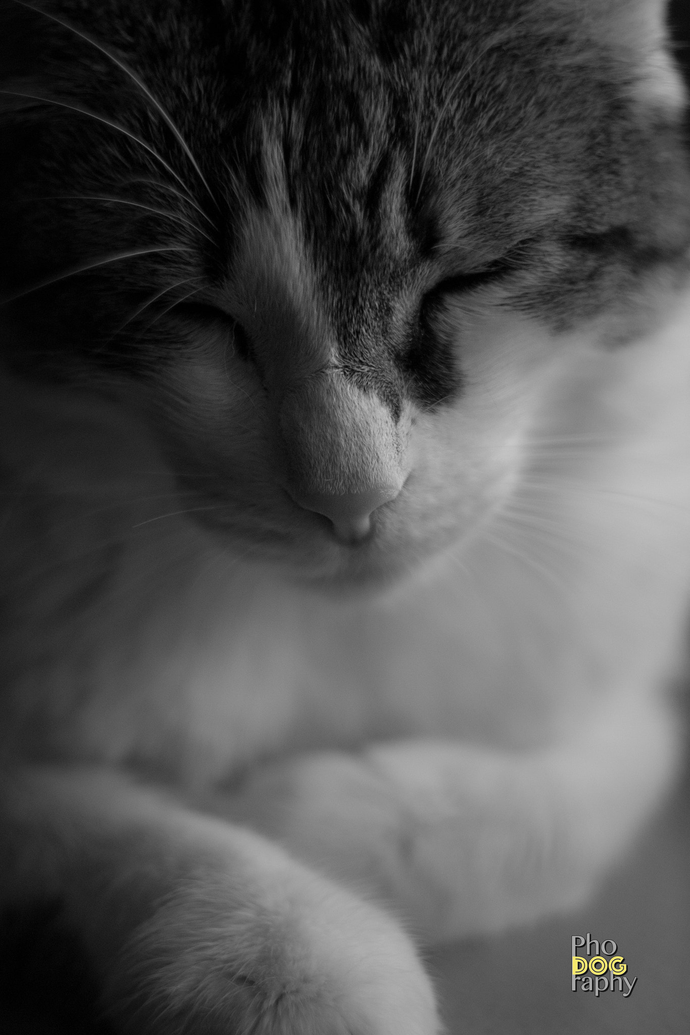 Canon EF 35-80mm f/4-5.6 sample photo. Hombre portrait photography