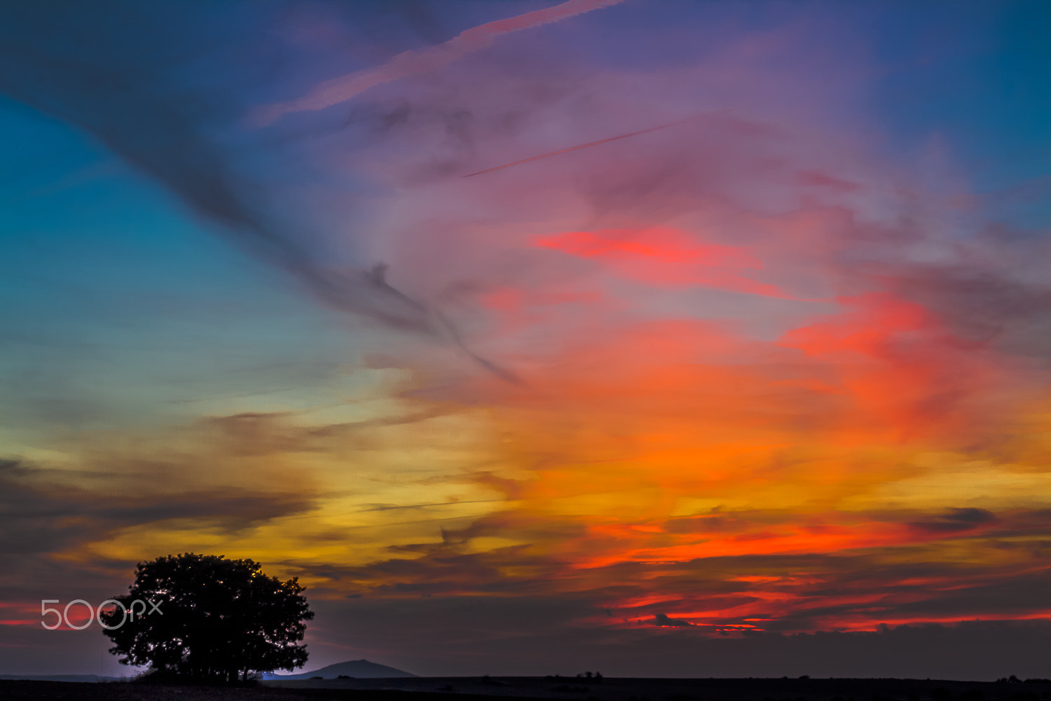 Sigma 50-500mm f/4-6.3 APO HSM EX sample photo. Atardecer photography