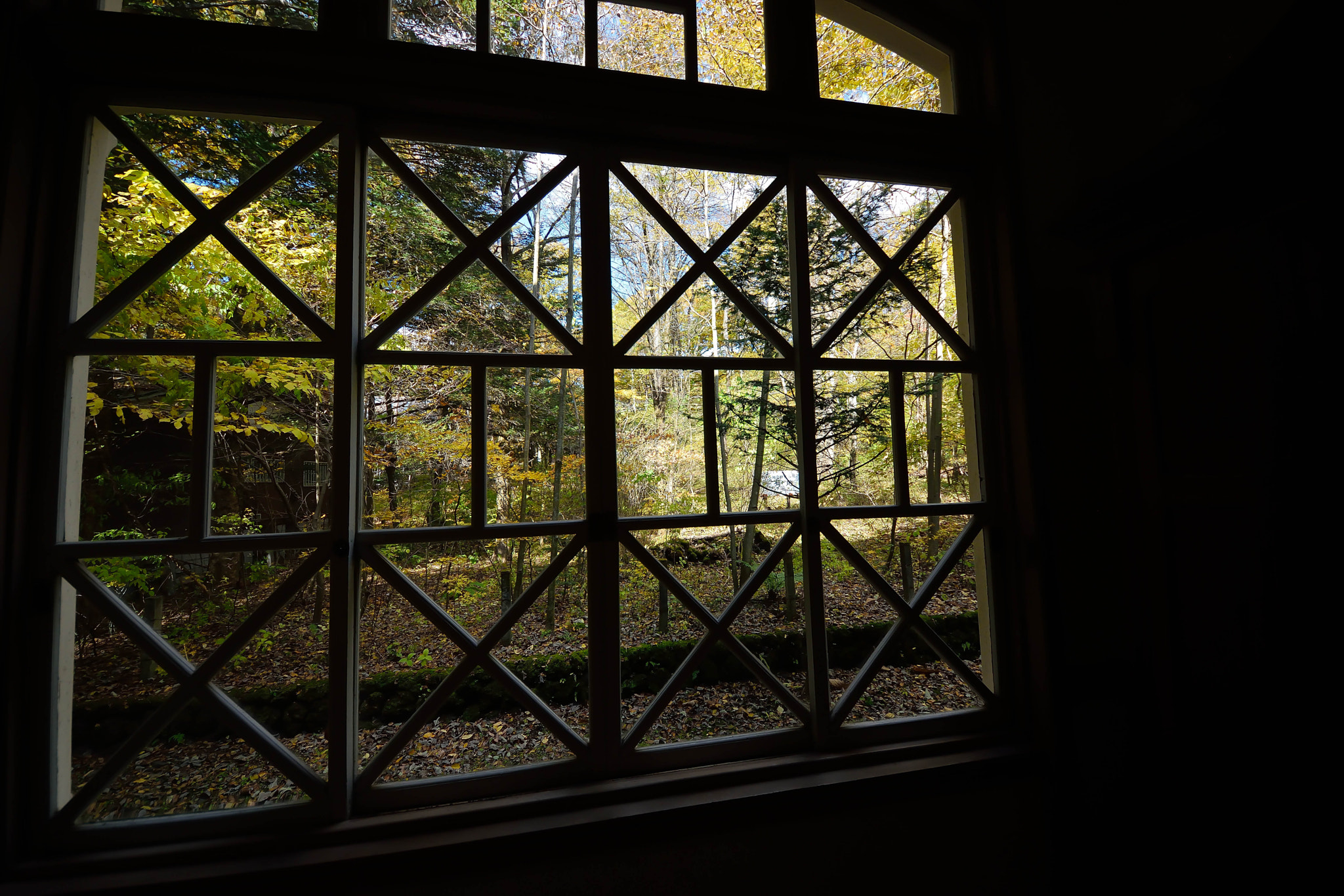 Sigma 8-16mm F4.5-5.6 DC HSM sample photo. Karuizawa20161103 photography