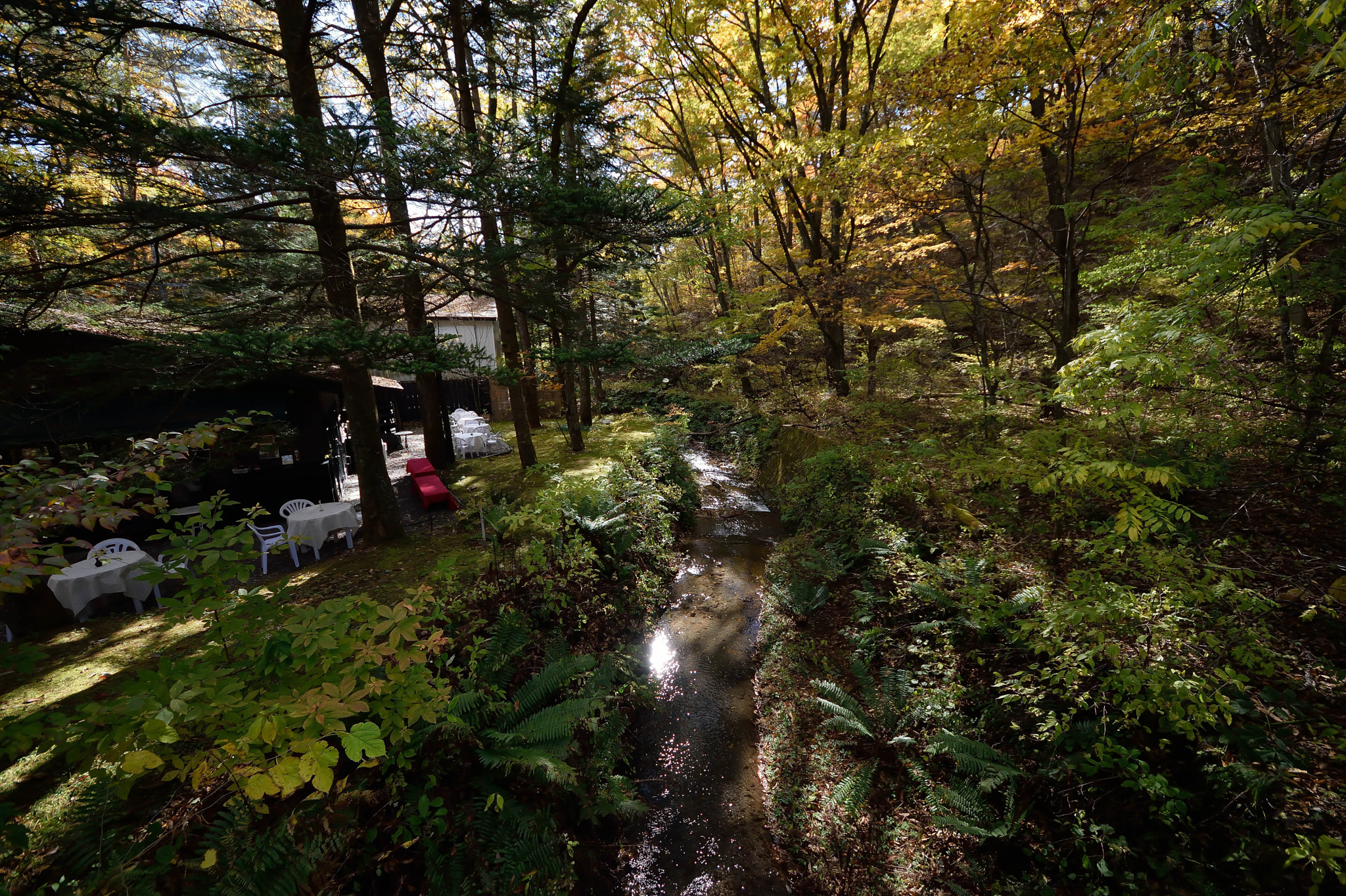 Sigma 8-16mm F4.5-5.6 DC HSM sample photo. Karuizawa20161103 photography