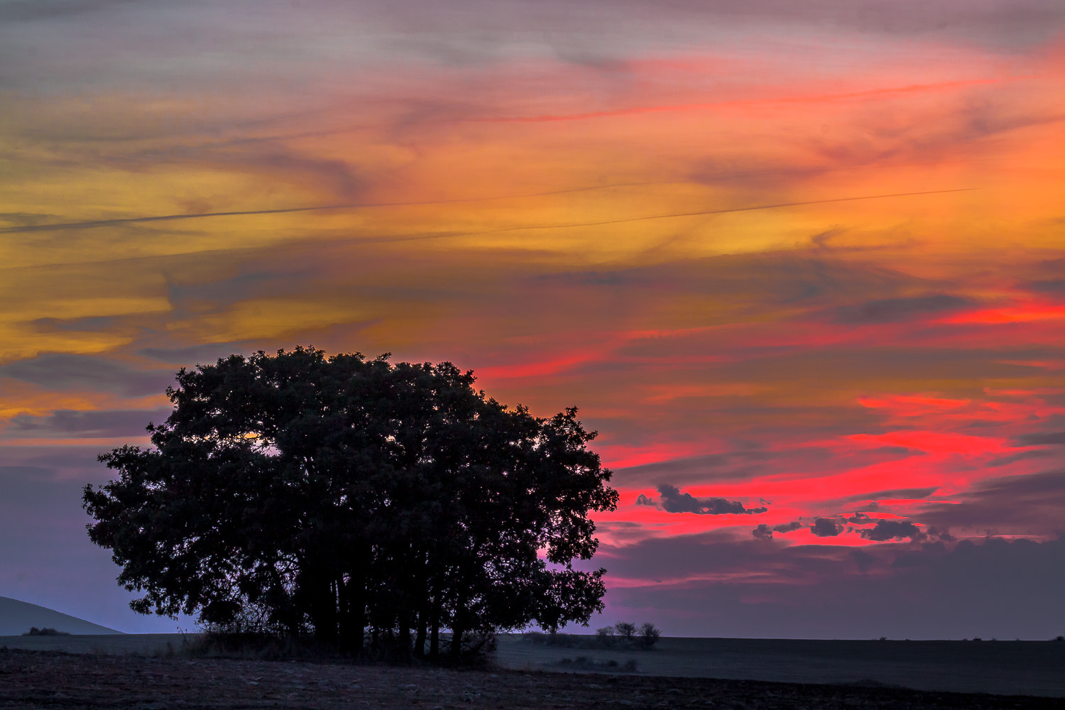 Canon EOS 50D + Sigma 50-500mm f/4-6.3 APO HSM EX sample photo. Atardecer 2 photography