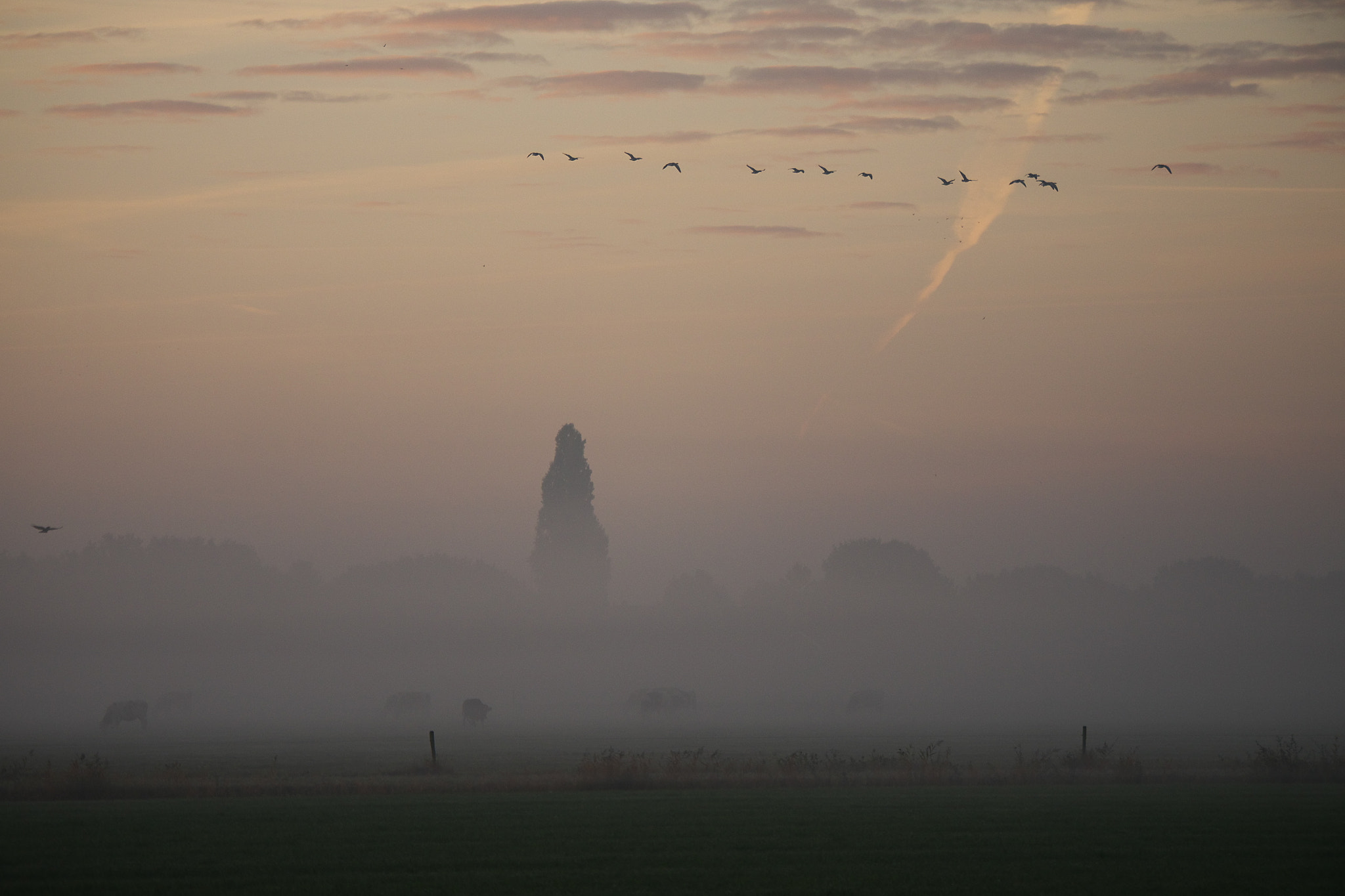 Panasonic Lumix DMC-GH2 sample photo. Sunrise on a misty day. photography