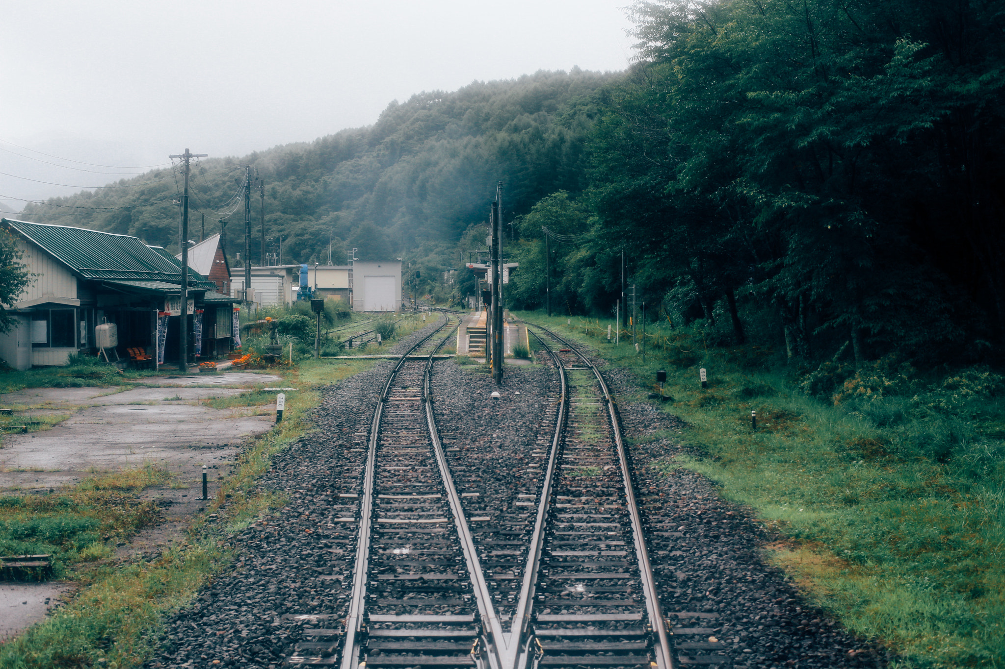 ZEISS Planar T* 50mm F1.4 sample photo. Chasing fog photography