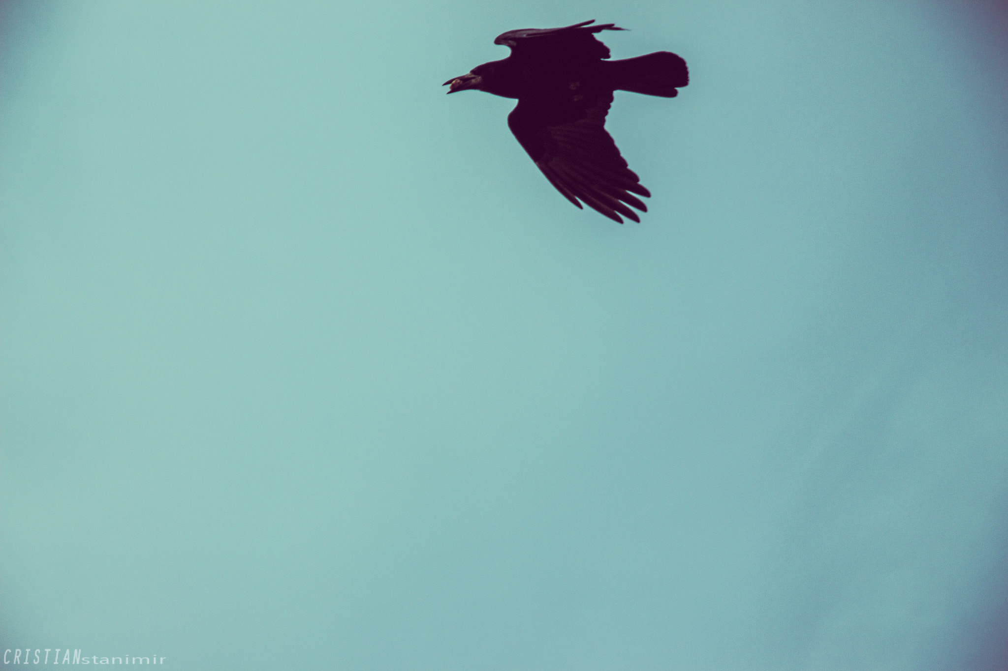 Canon EF-S 17-85mm F4-5.6 IS USM sample photo. Fly by photography