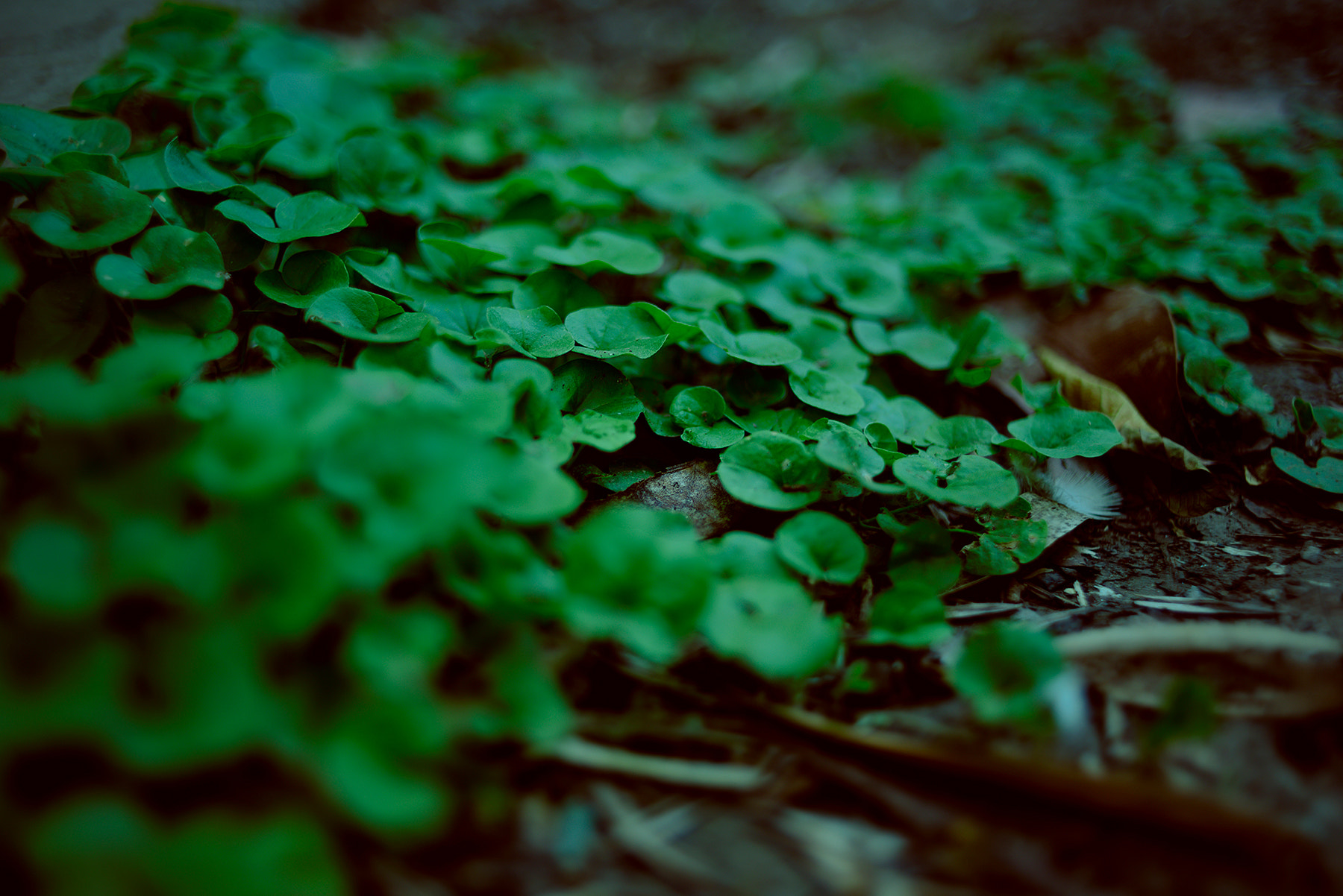 Nikon D750 + Nikon AF Nikkor 35mm F2D sample photo. Mi pequeña parte de aire photography