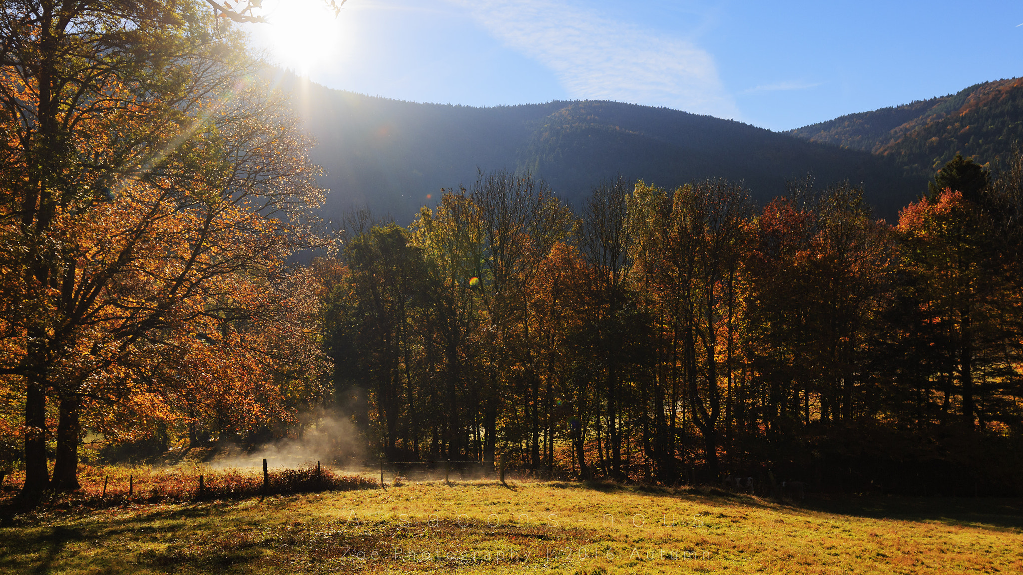 Canon EF 16-35mm F4L IS USM sample photo. Sunshine through the fall. photography