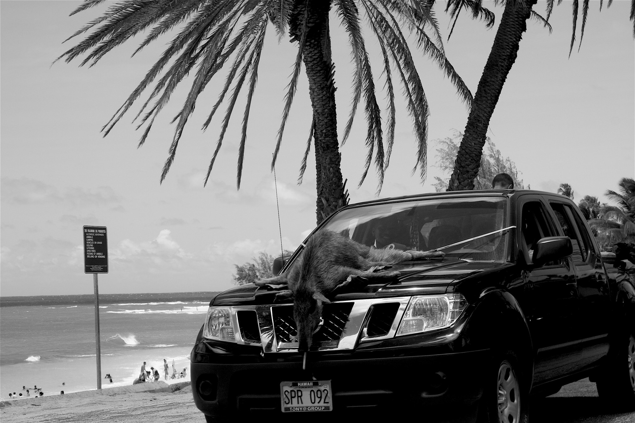 Canon EOS 40D sample photo. Kalua pig photography