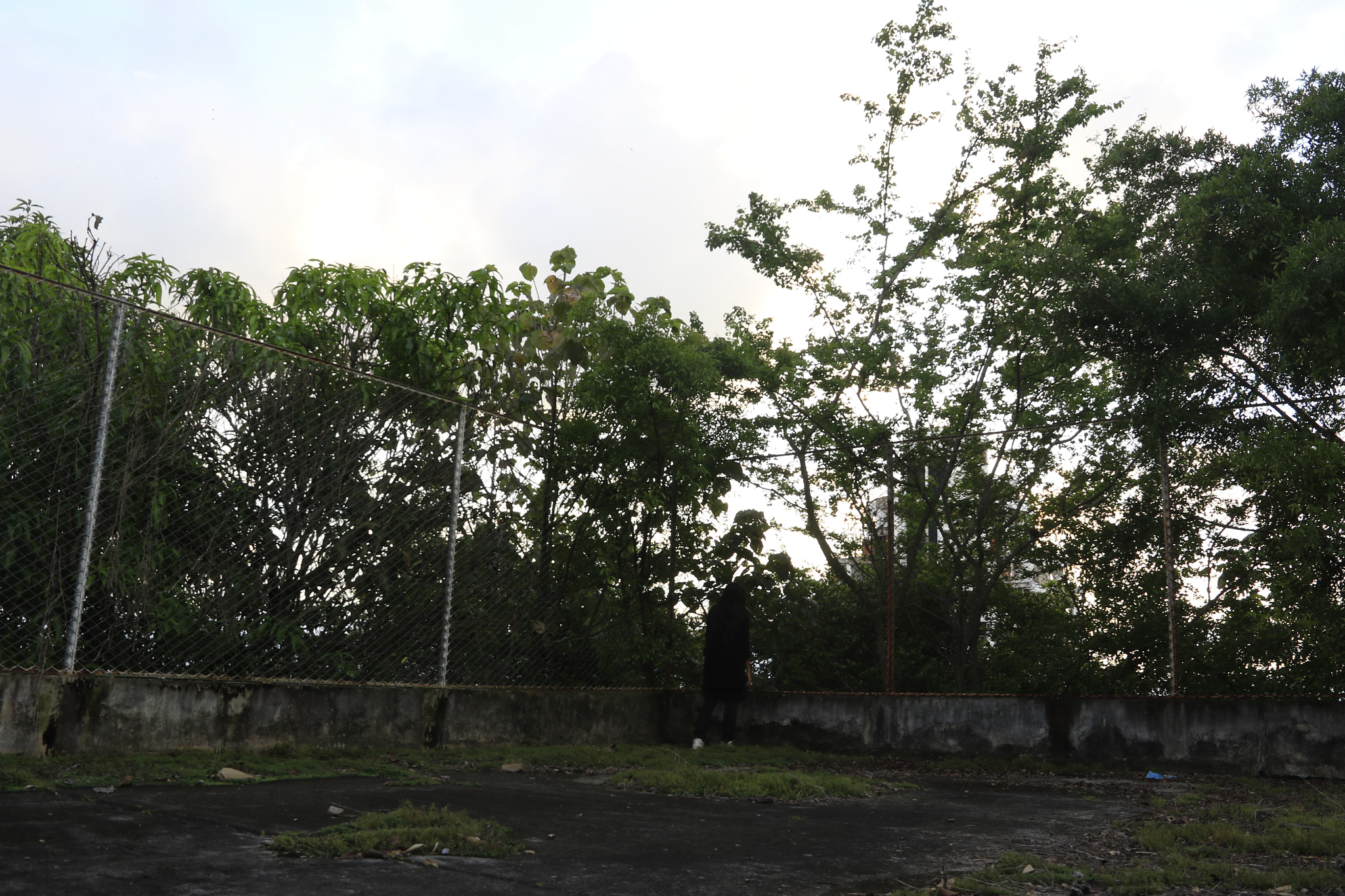 Canon EF-S 18-135mm F3.5-5.6 IS sample photo. Ana osorio 2016 photography