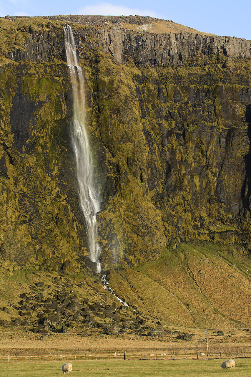 AF-S Zoom-Nikkor 80-200mm f/2.8D IF-ED sample photo. Iceland photography