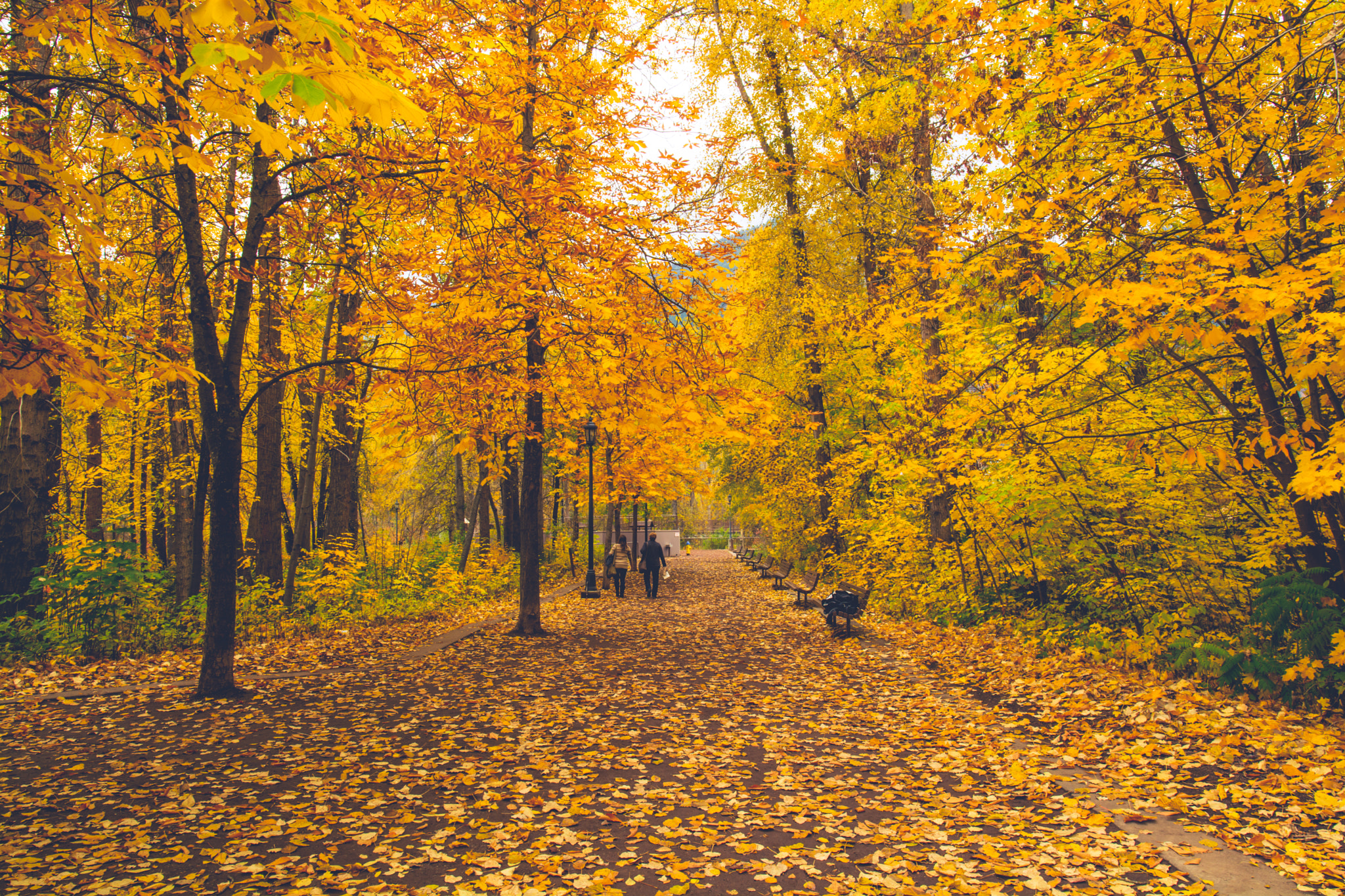 Nikon D7100 + Samyang 16mm F2 ED AS UMC CS sample photo. Beautiful autumn photography