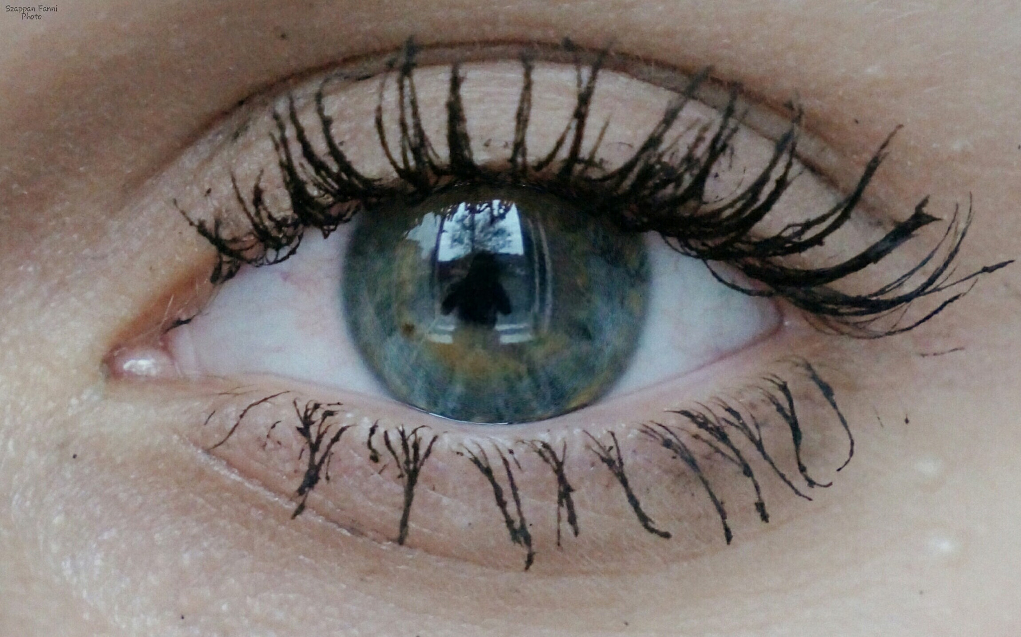 Sony Alpha a3000 sample photo