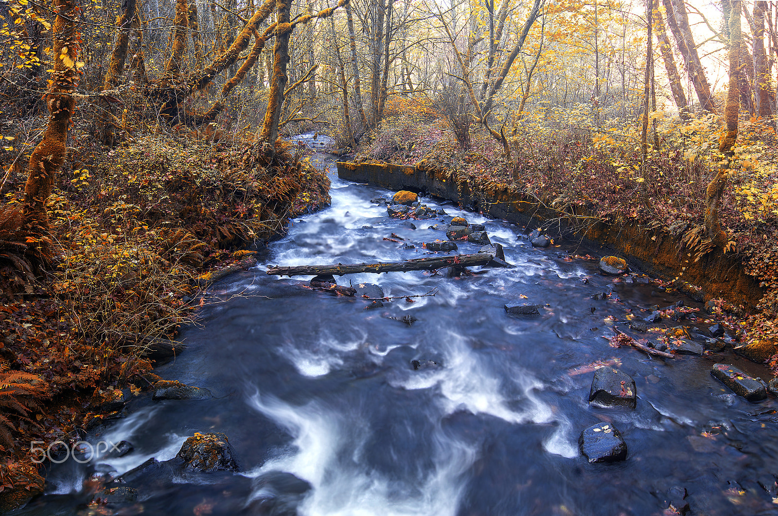 Sony SLT-A77 + Sony DT 18-55mm F3.5-5.6 SAM sample photo. Fast moving creek photography