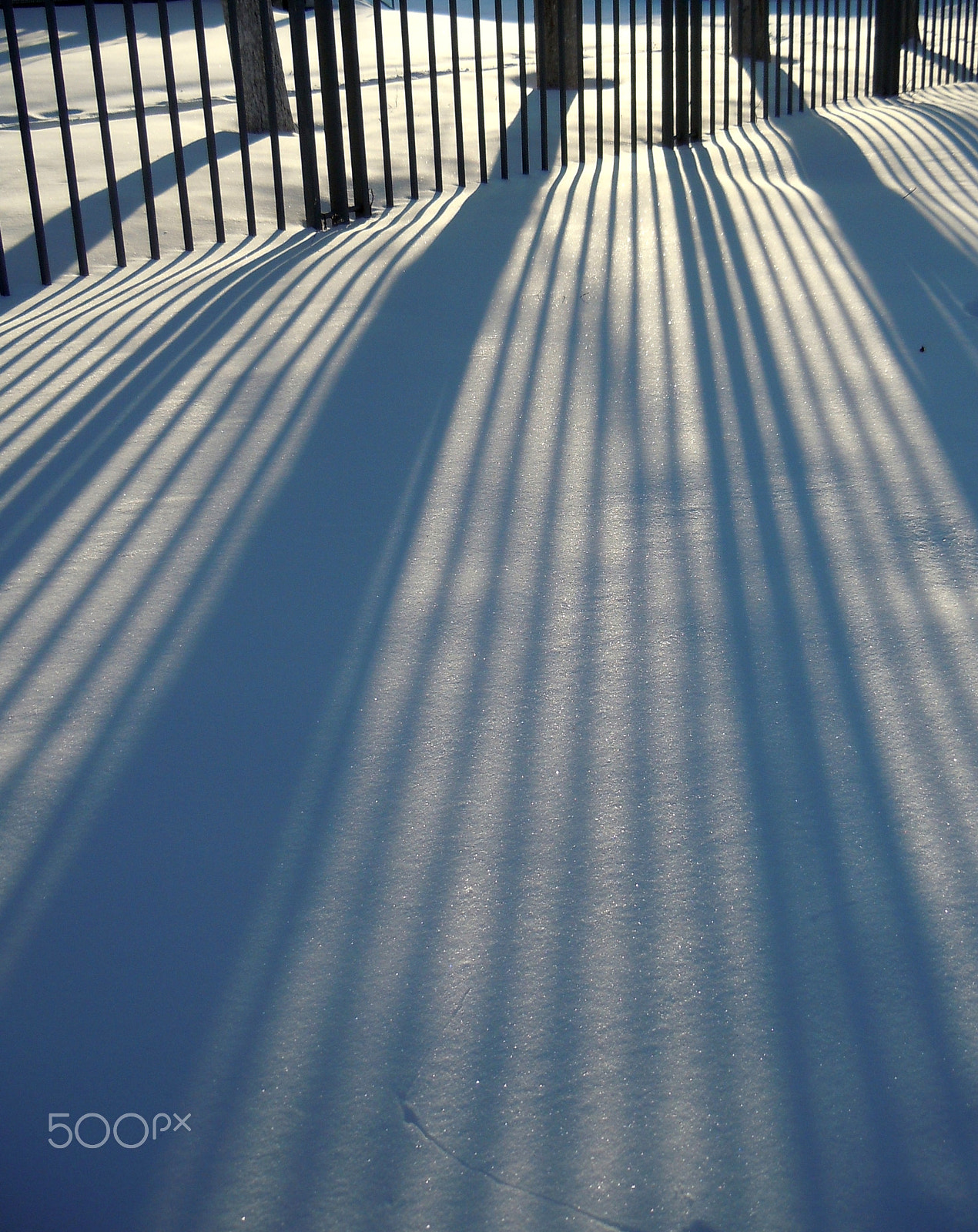 Nikon Coolpix S8000 sample photo. Sunny day photography