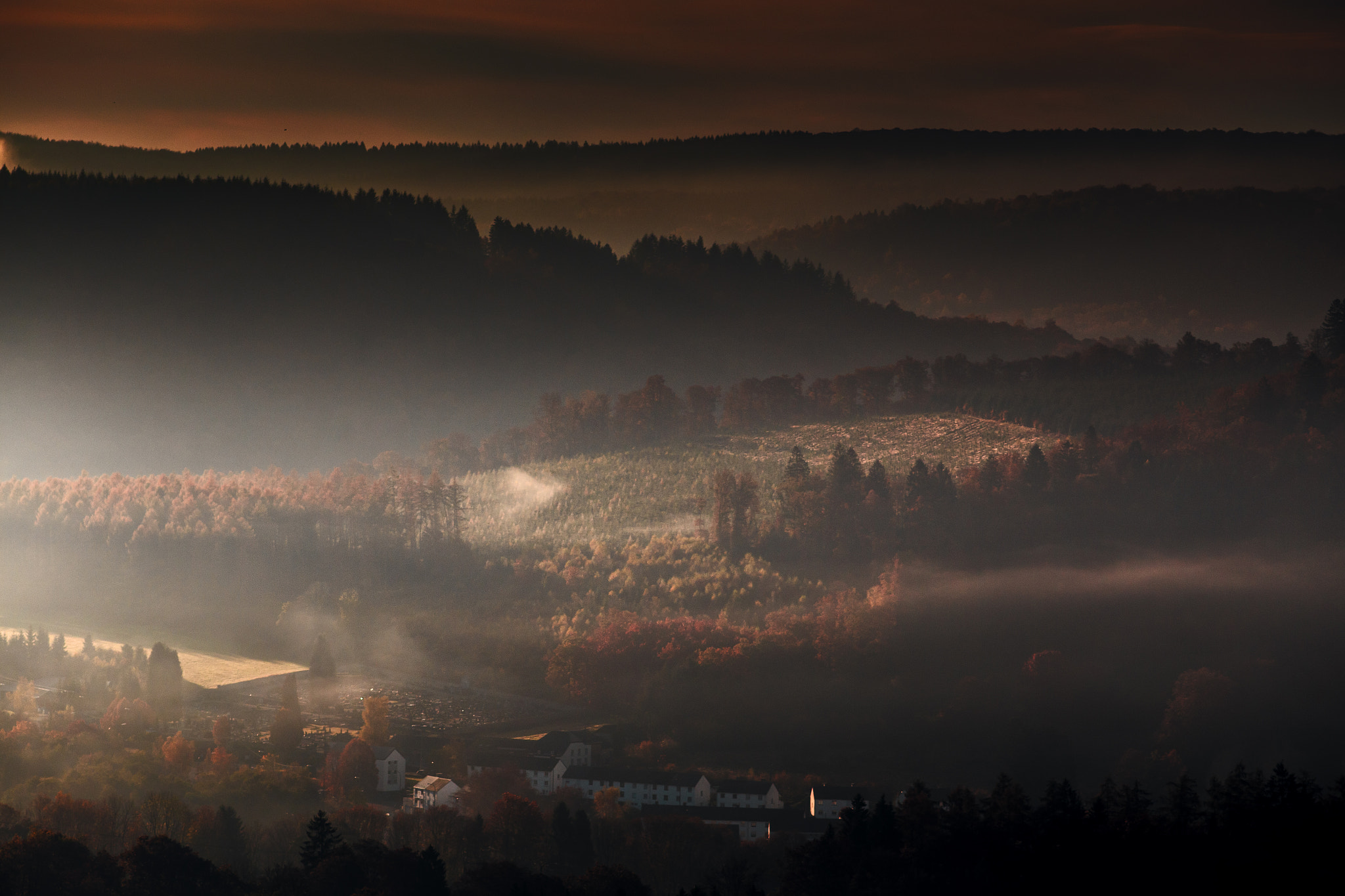 Canon EOS 6D + Canon EF 200mm F2.8L II USM sample photo. Morning fog photography