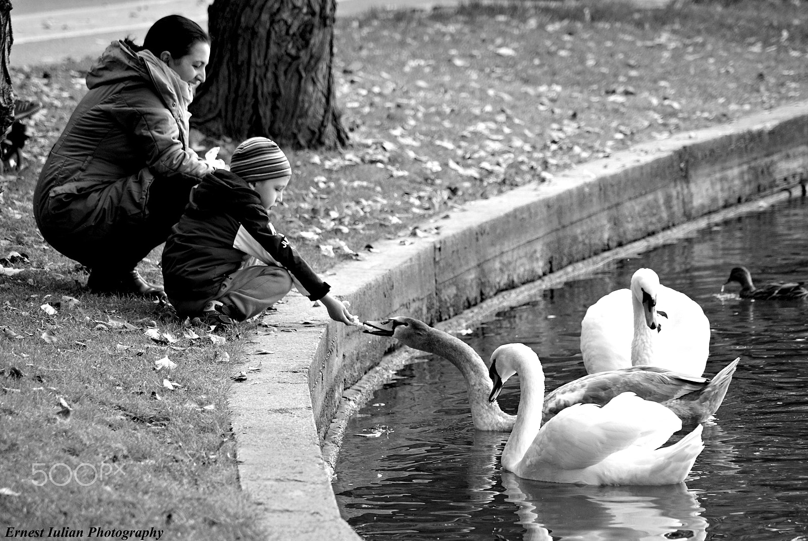 Sony Alpha DSLR-A200 sample photo. Gift... photography