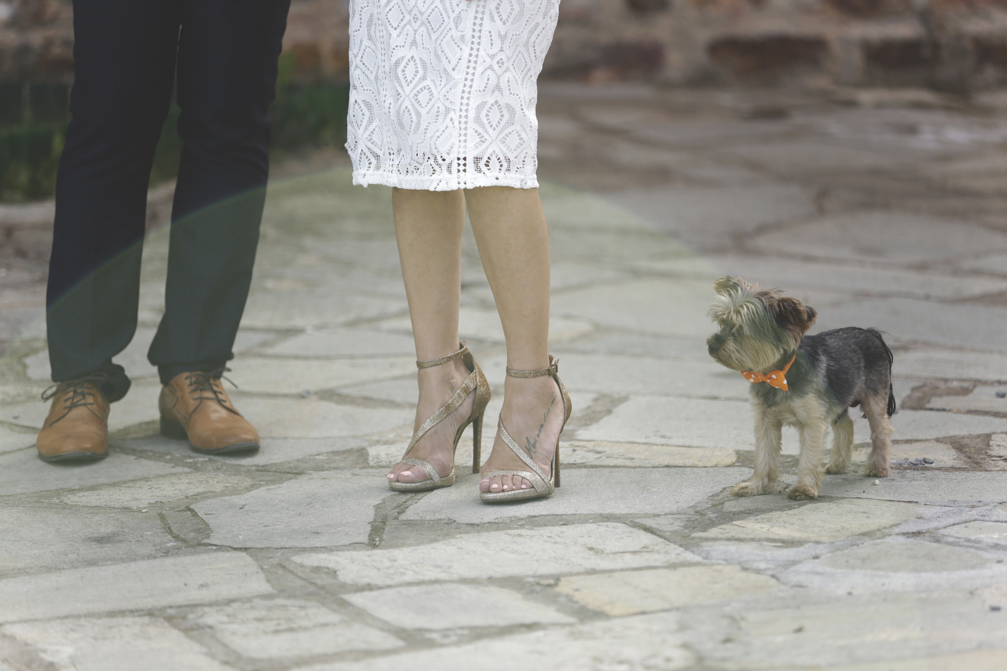 Canon EOS 6D + Canon EF 80-200mm f/2.8L sample photo. Family photography