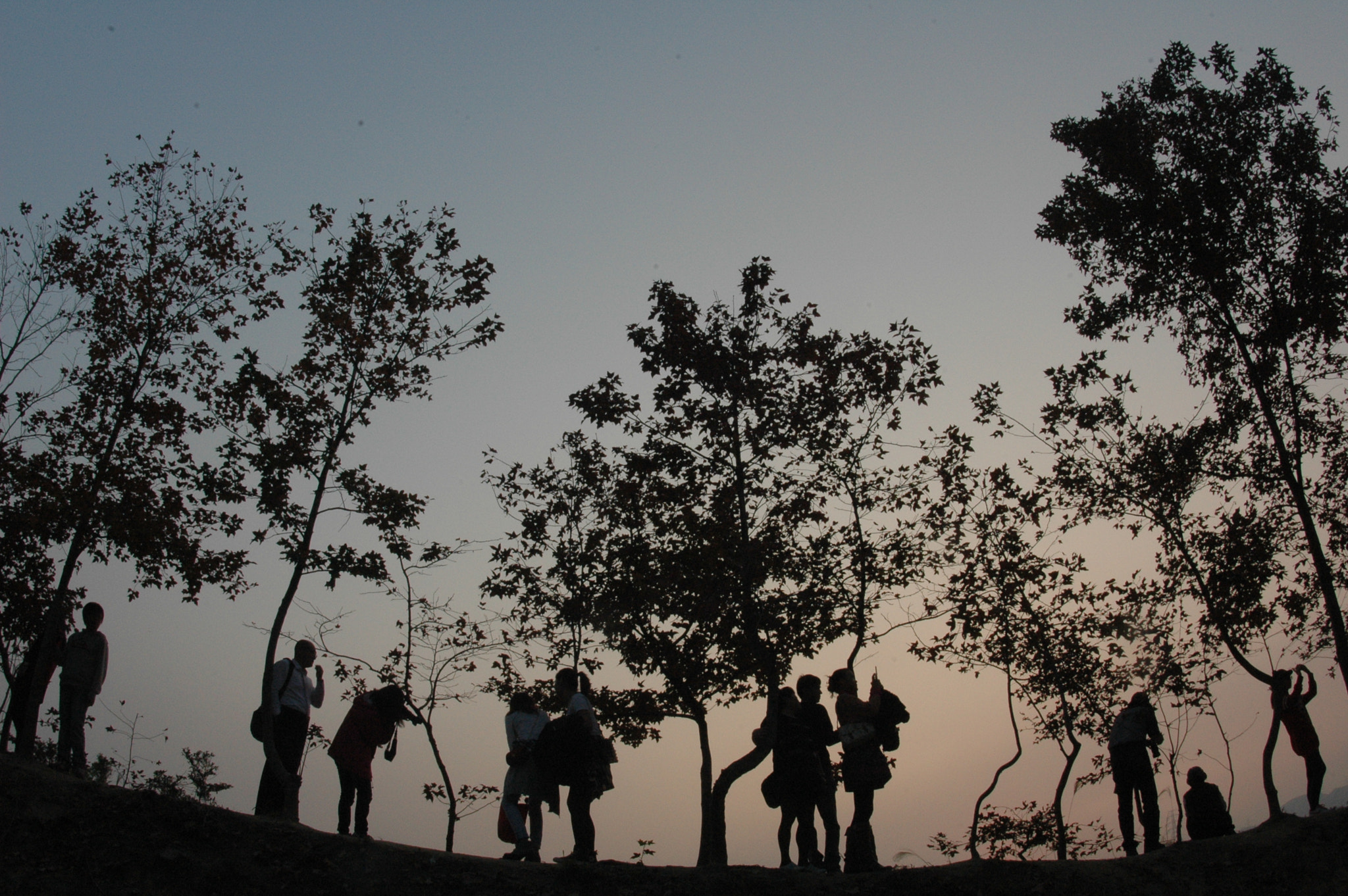 Nikon AF Fisheye-Nikkor 16mm F2.8D sample photo. Visiting nature photography