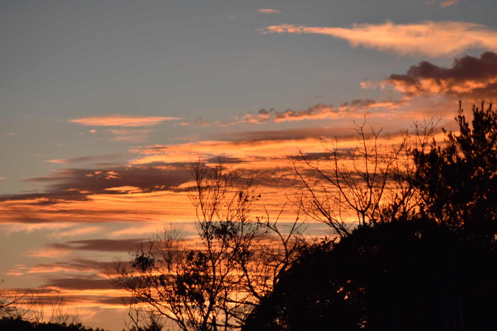 Nikon AF Nikkor 70-300mm F4-5.6G sample photo. Another pleasant evening photography
