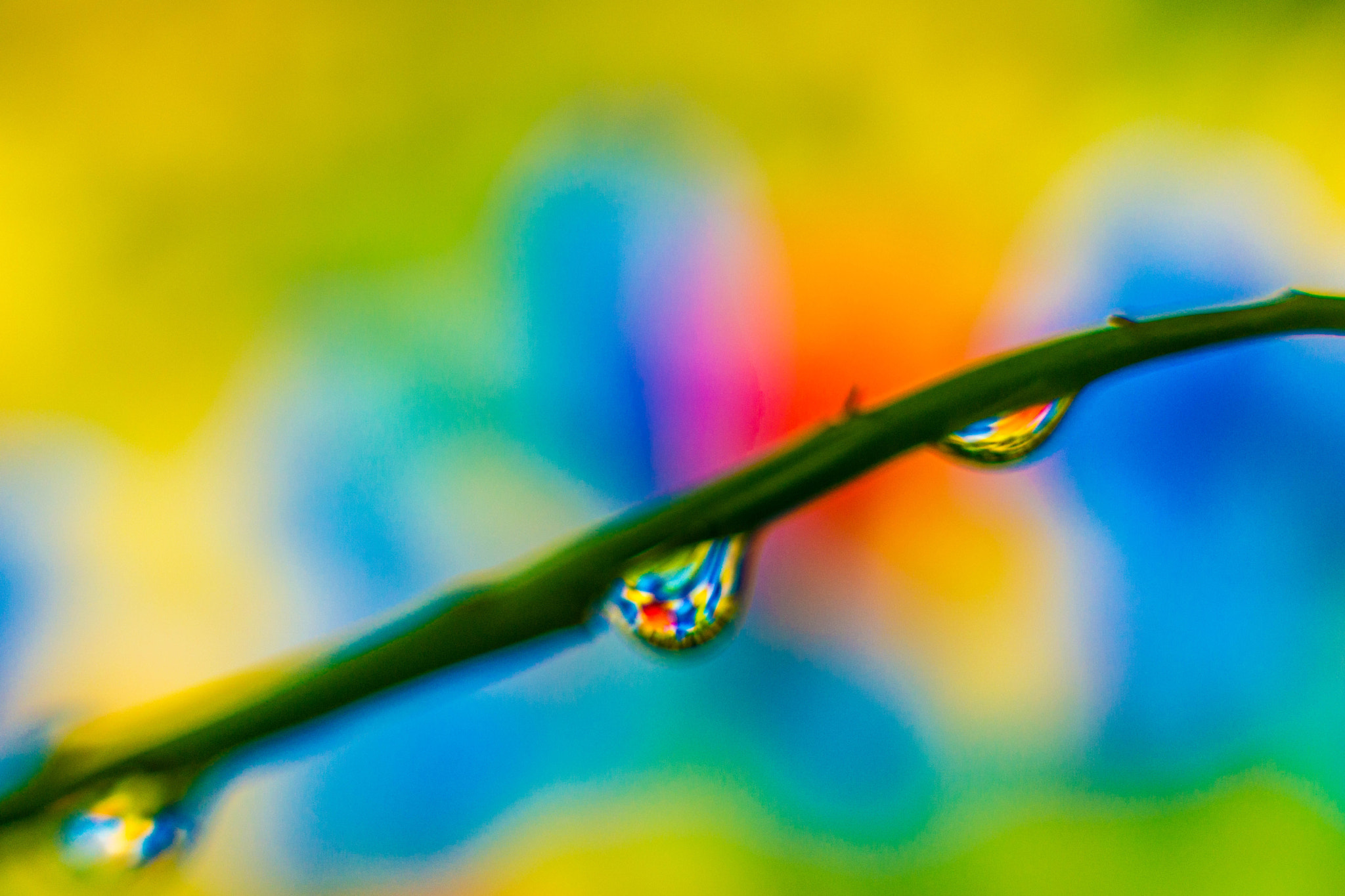 Sony SLT-A77 + Sony DT 50mm F1.8 SAM sample photo. Colorful water drops photography