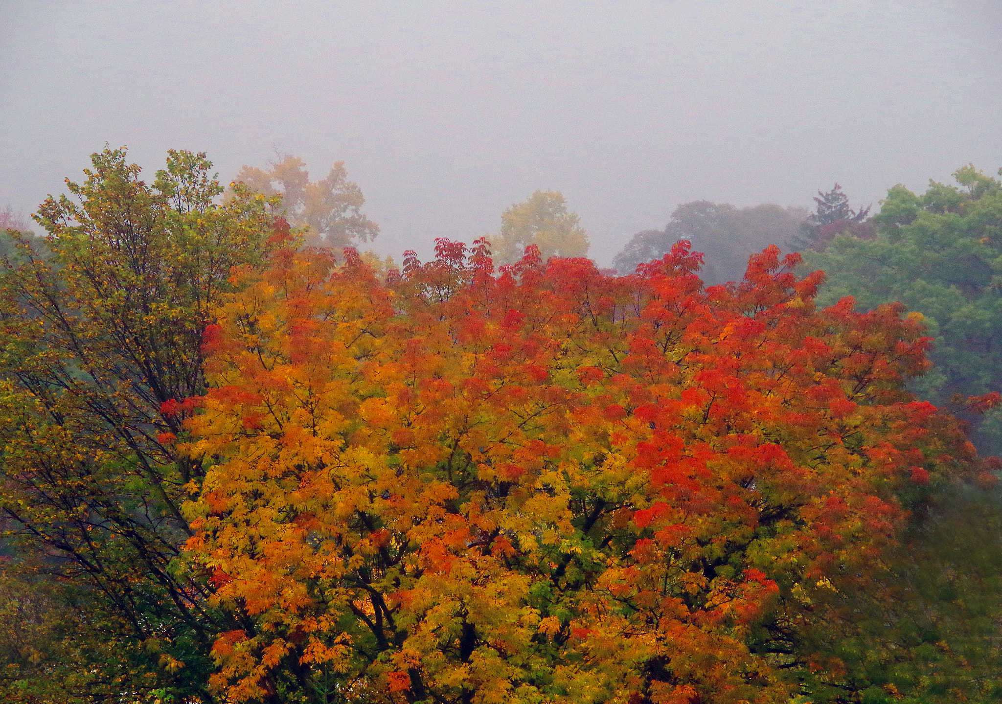 Pentax K-30 sample photo. L'automne photography