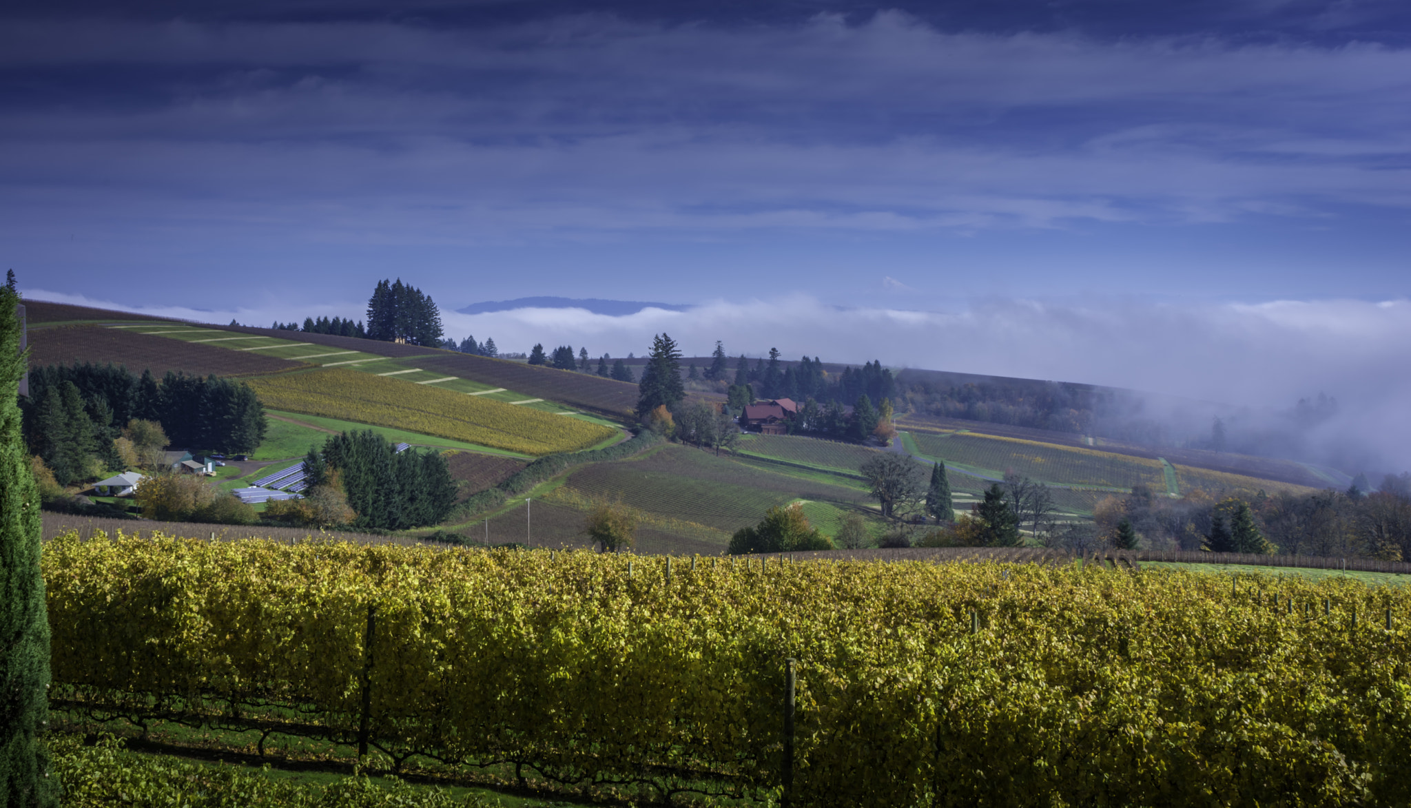 Nikon D7100 + Nikon AF Nikkor 24mm F2.8D sample photo. Oregon wine country photography