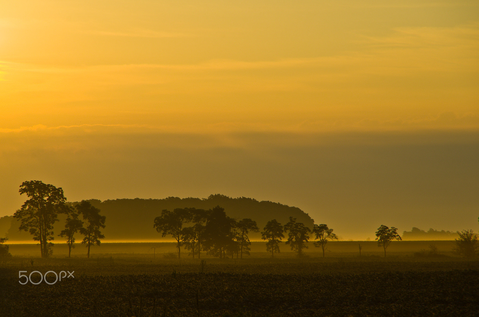 Pentax K-50 sample photo. Foggy sunshine photography