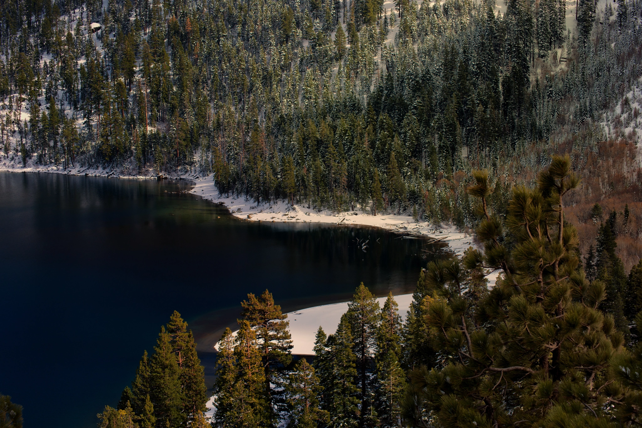 Nikon D800 sample photo. Isolation photography