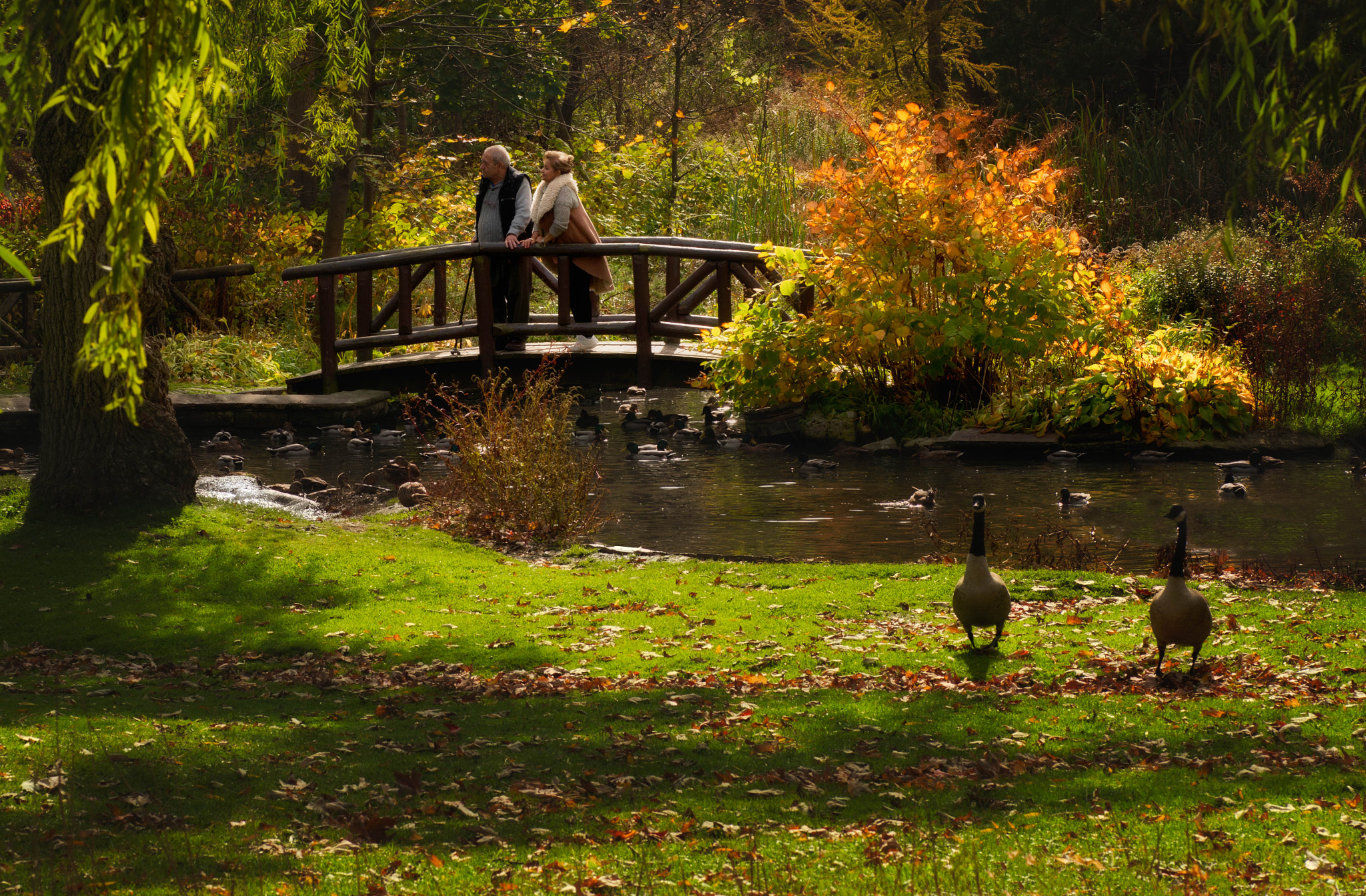 Pentax K-5 sample photo. Couples photography