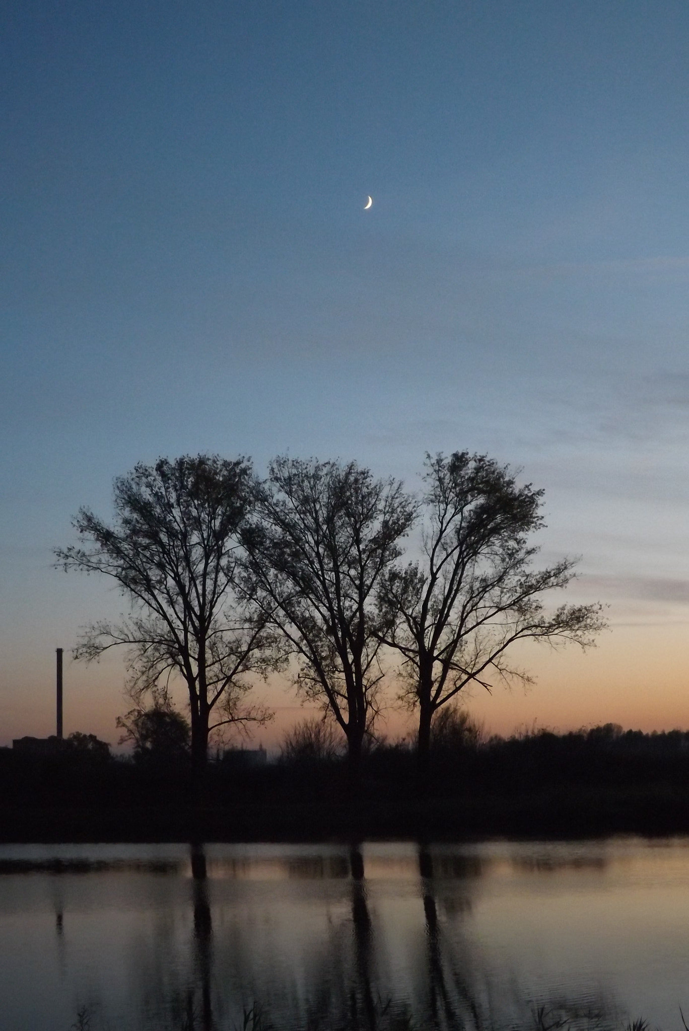 Fujifilm FinePix SL300 sample photo. Three trees photography