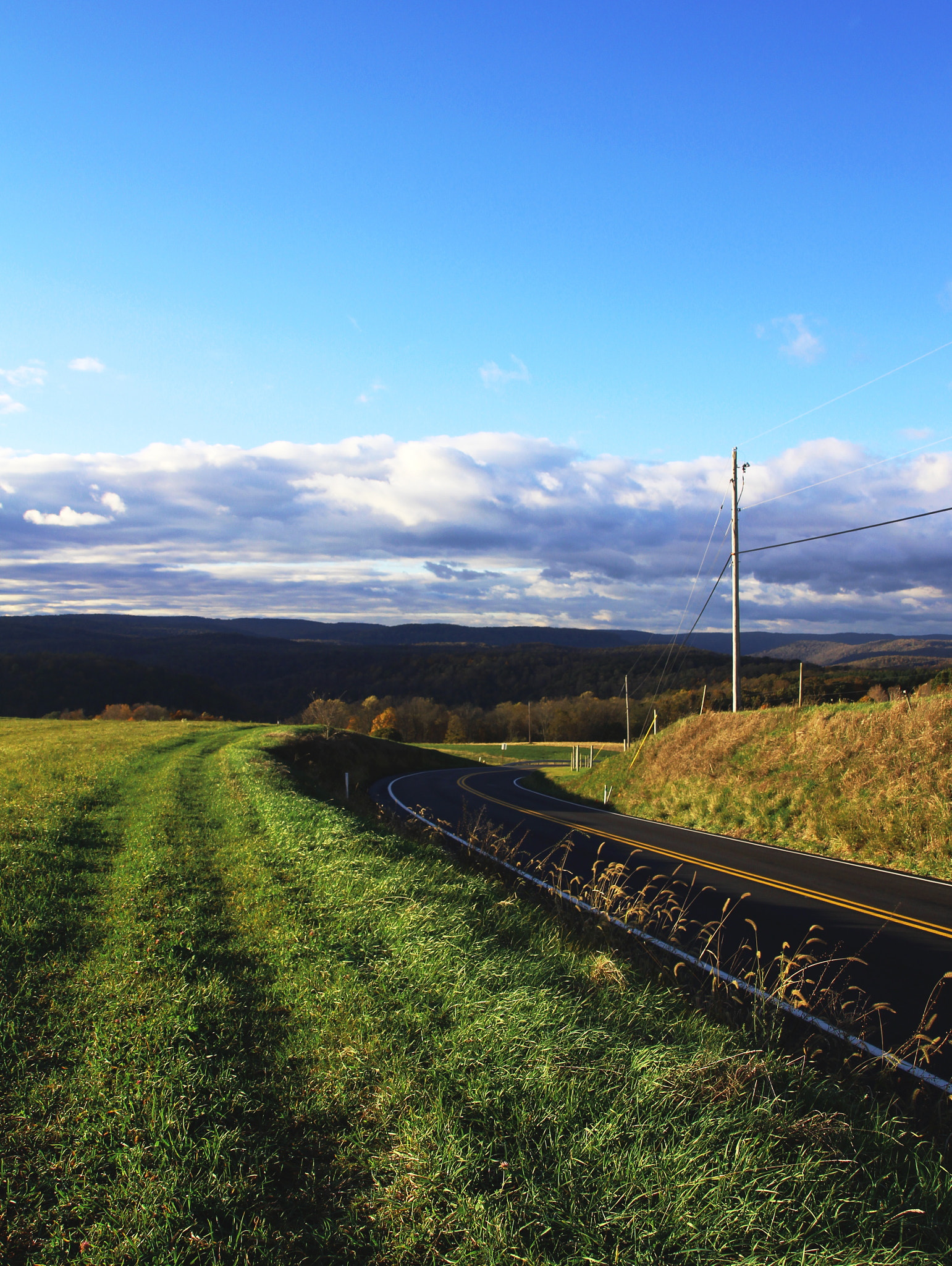 Canon EOS 100D (EOS Rebel SL1 / EOS Kiss X7) + Canon TS-E 90mm F2.8 Tilt-Shift sample photo. Country road photography
