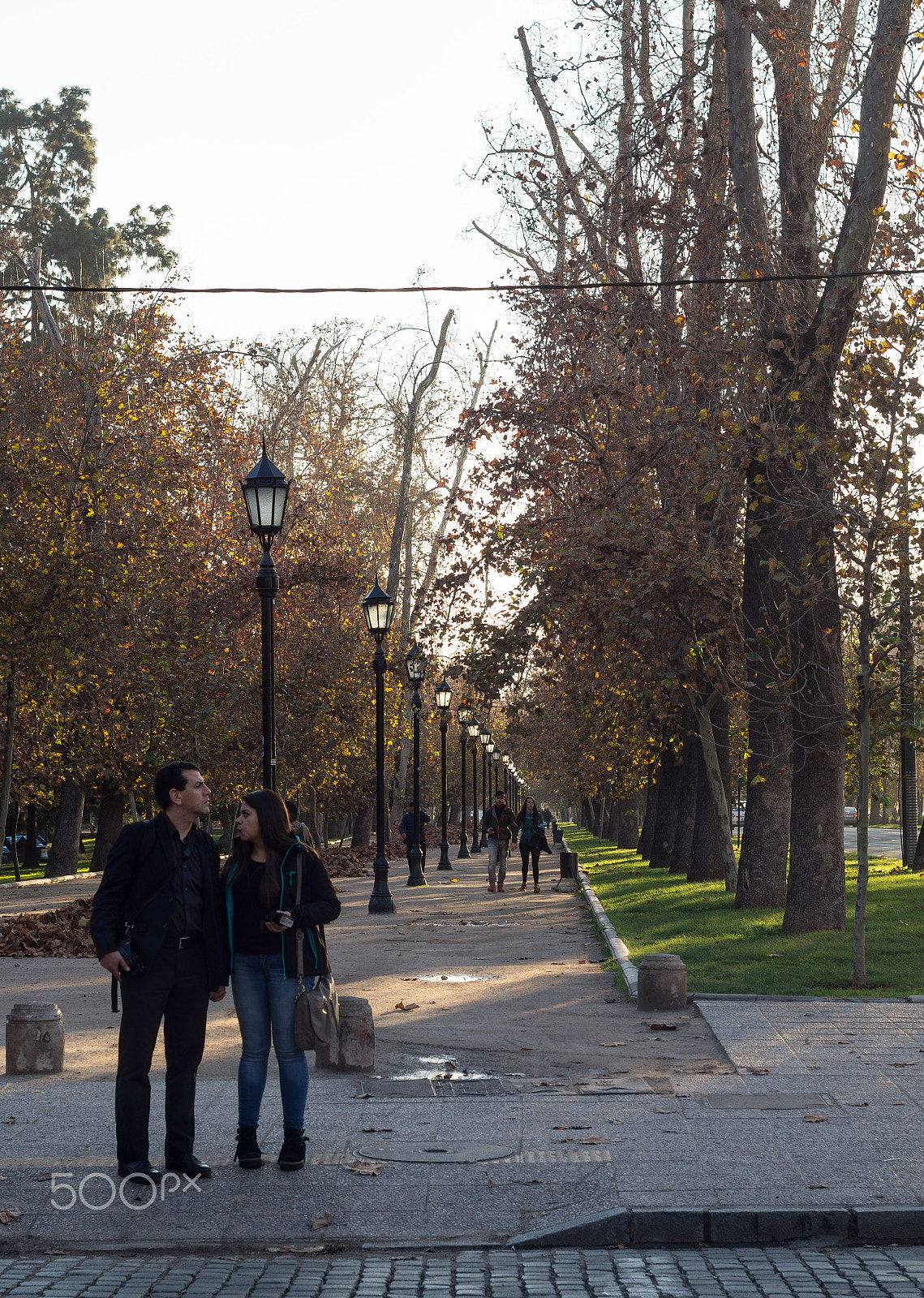 Sony SLT-A58 sample photo. Parque forestal photography