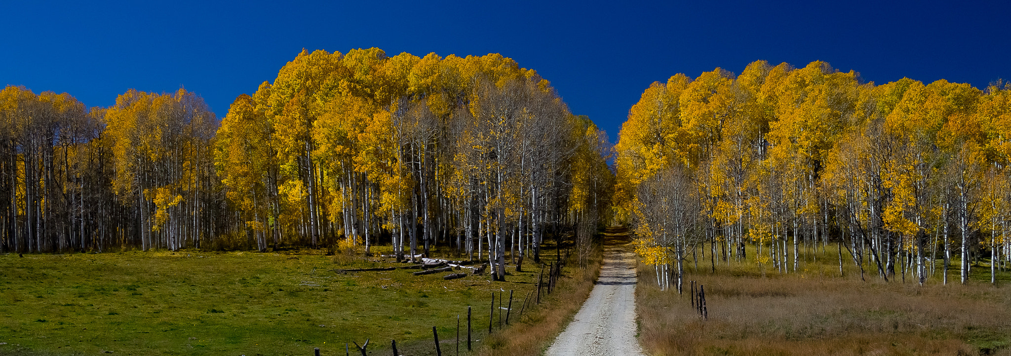 Pentax K-5 + Pentax smc DA 17-70mm F4.0 AL (IF) SDM sample photo. Aspens photography