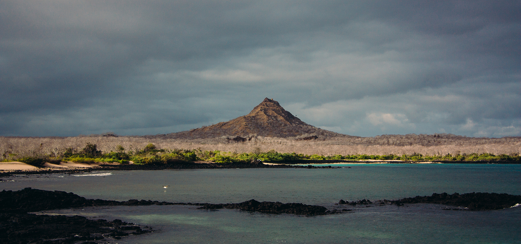 Canon EF-S 17-85mm F4-5.6 IS USM sample photo. Galapagos islands photography