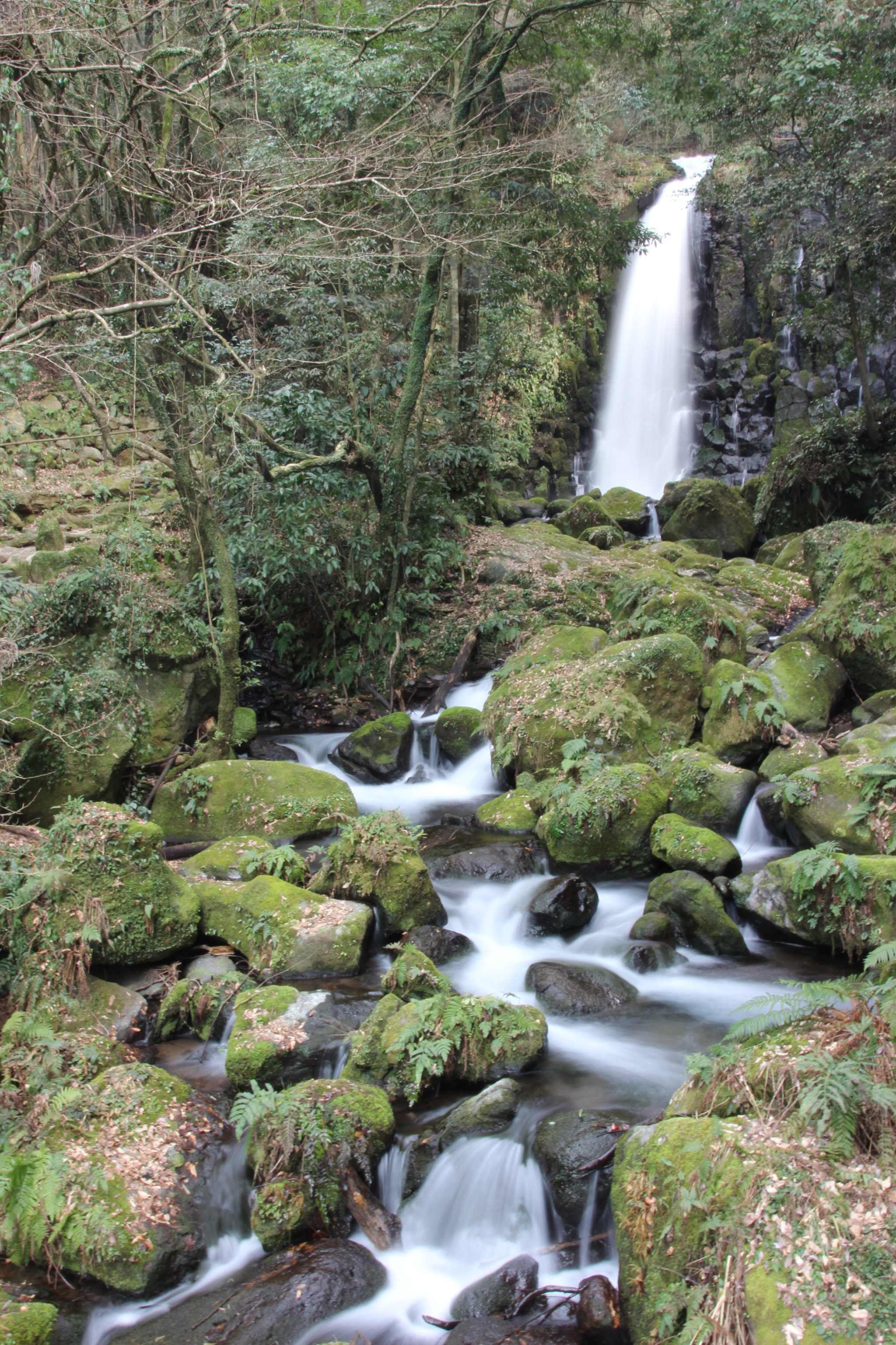Canon EOS 600D (Rebel EOS T3i / EOS Kiss X5) sample photo. Waterfall photography