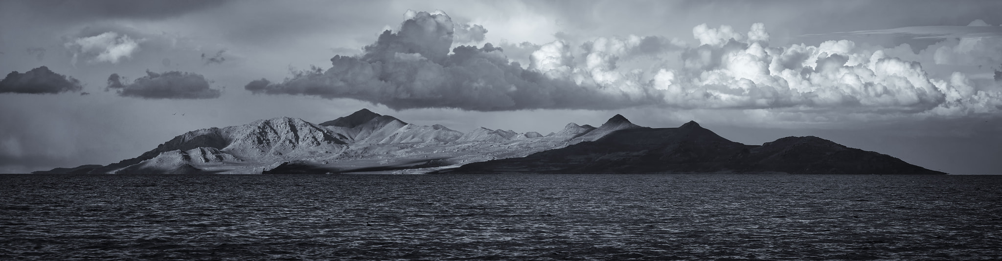 Fujifilm XF 100-400mm F4.5-5.6 R LM OIS WR sample photo. Antelope island photography