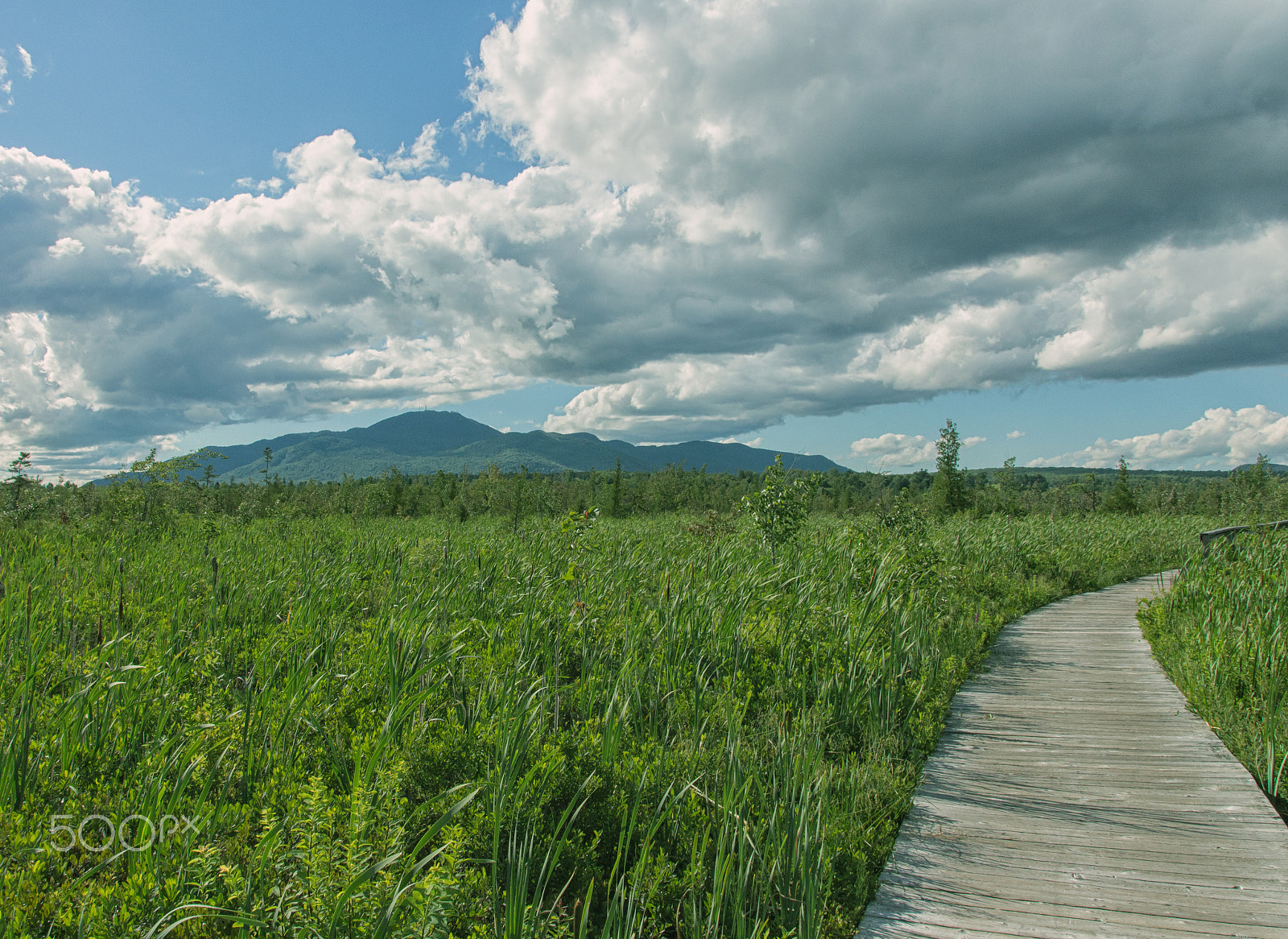 Canon EOS 650D (EOS Rebel T4i / EOS Kiss X6i) sample photo. Countryside photography